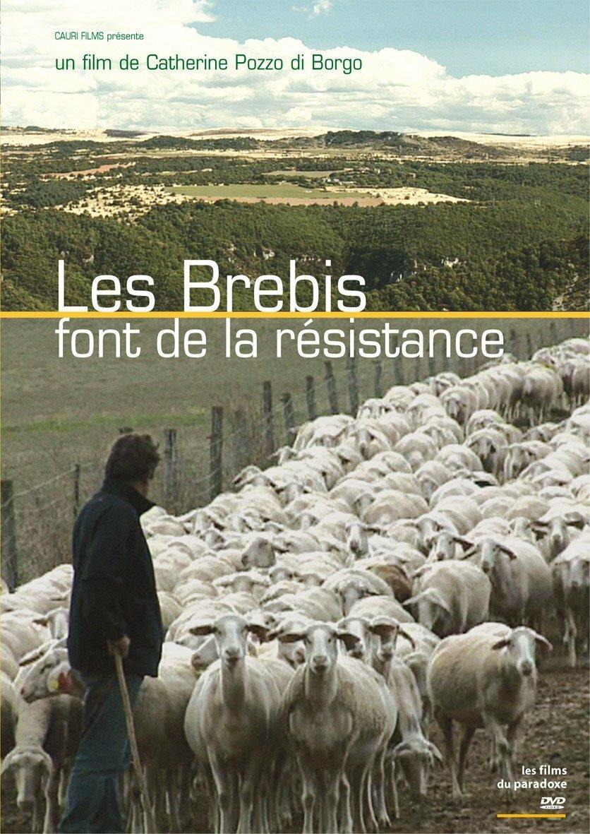 Les brebis font de la résistance État correct -  reconditionné disponible sur Label Emmaüs