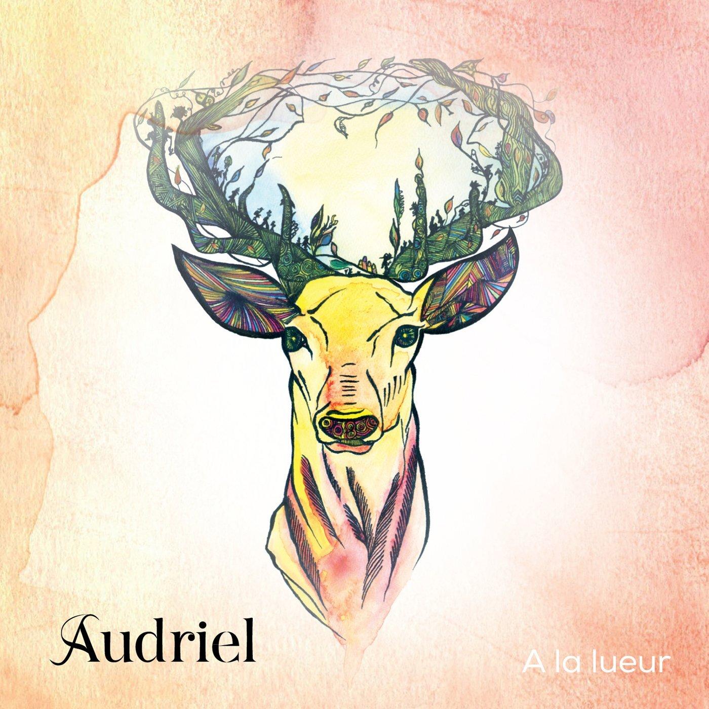 Audriel État correct -  reconditionné disponible sur Label Emmaüs