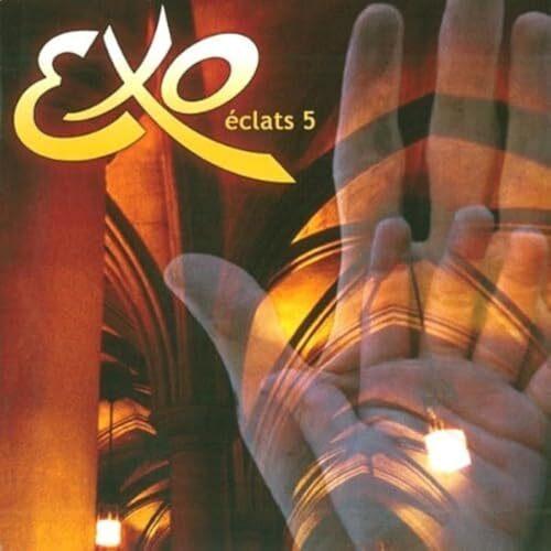 Exo - Eclats 5  -  reconditionné disponible sur Label Emmaüs