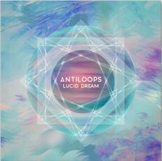 Antiloops - Lucid Dream  -  reconditionné disponible sur Label Emmaüs