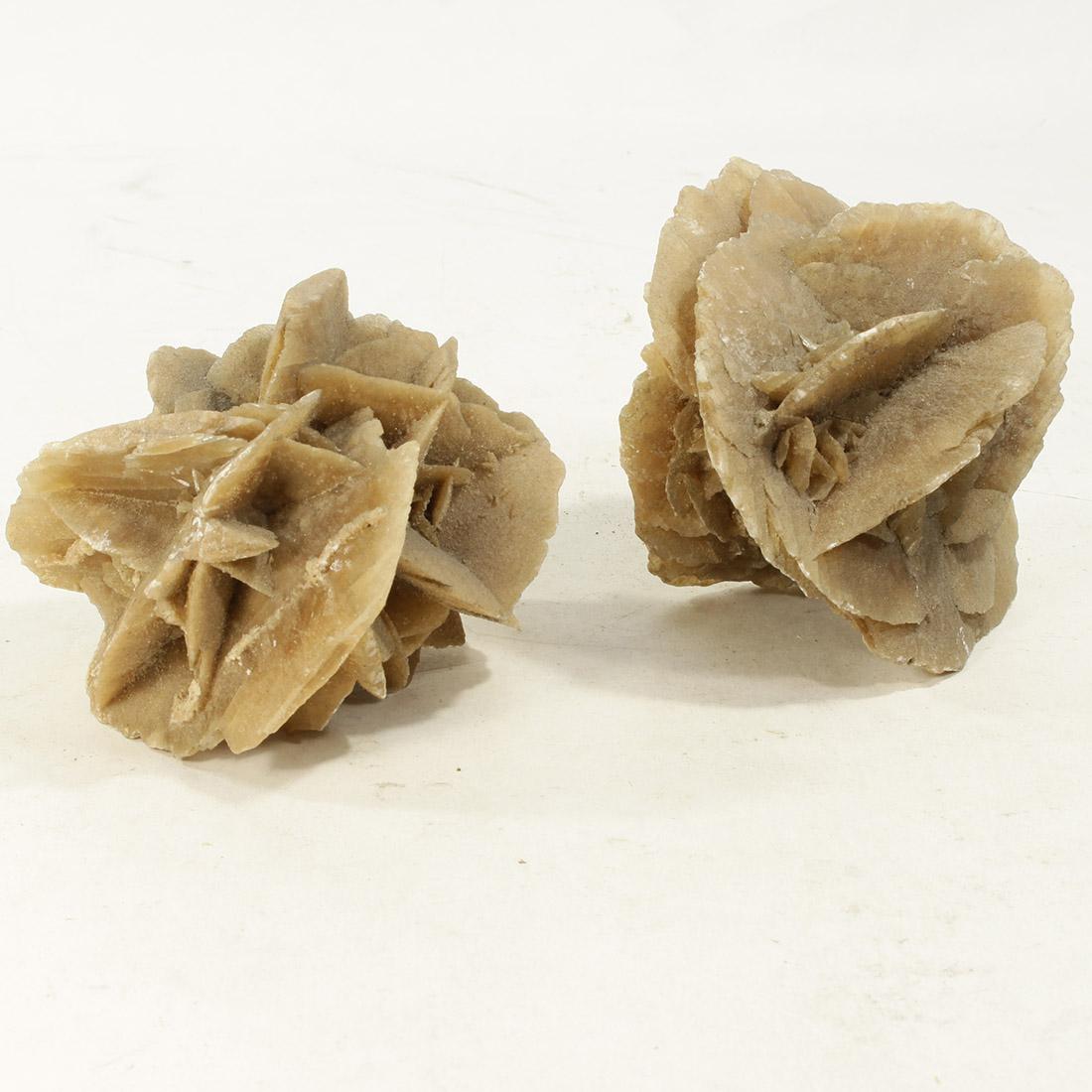 Lot de 2 petites roses des sables - Photo 0