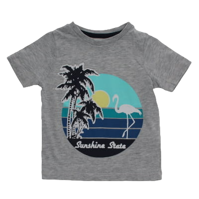 T-shirt gris imprimé - Garçon - Vertbaudet - Taille 2 ans - Photo 0