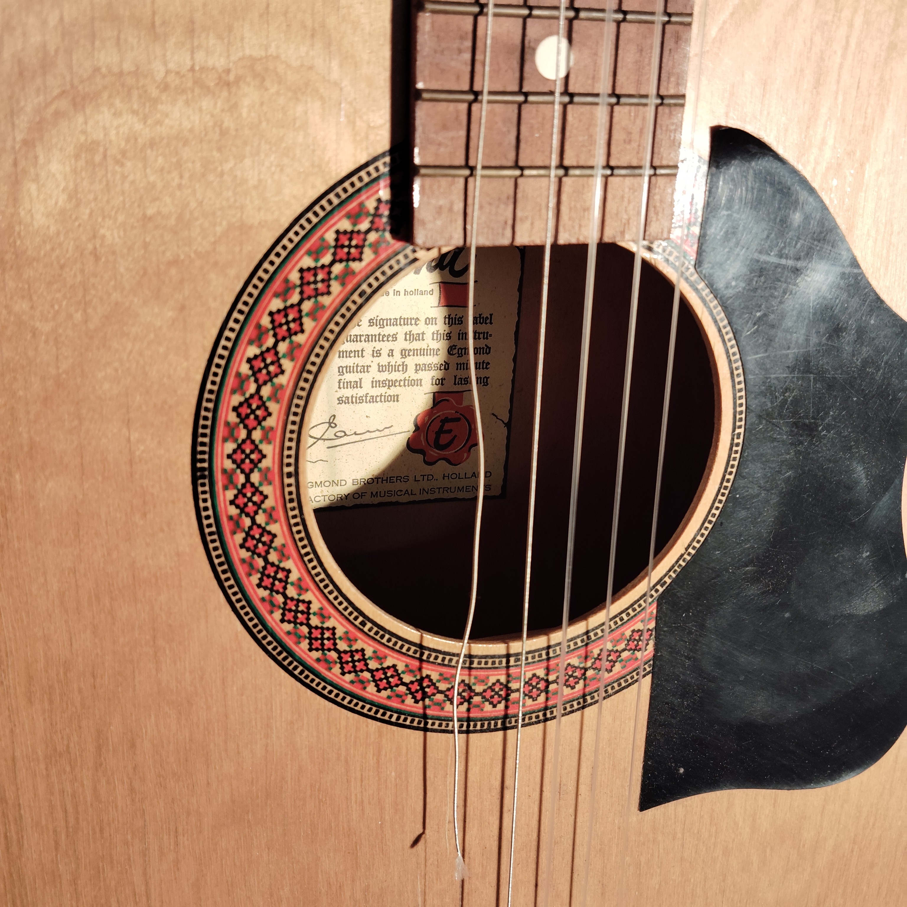 Guitare acoustique Egmond Brothers of Holland avec étui de transport et tuyau de tangage - Photo 5