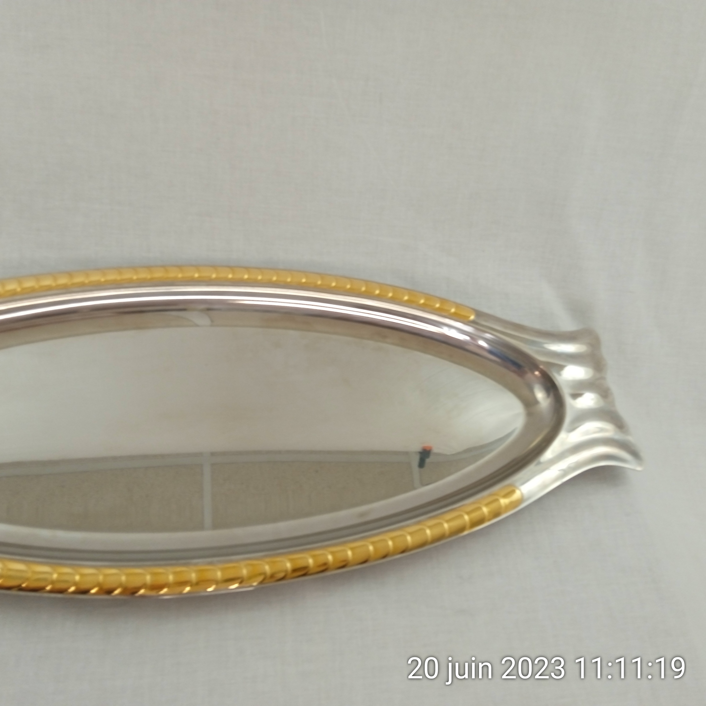 Grand plat à poisson 24 kt gold en acier inoxydable  - Photo 5