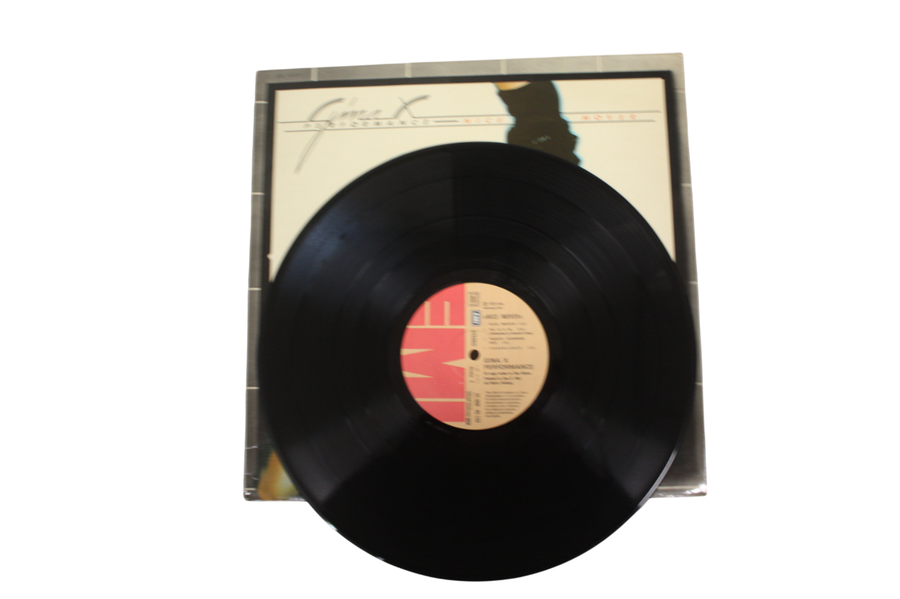 Voir photo 2 de Vinyle Gina X Performance Nice Mover Vinyle Gina X Performance Nice Mover Très bon état - Vue 2 -