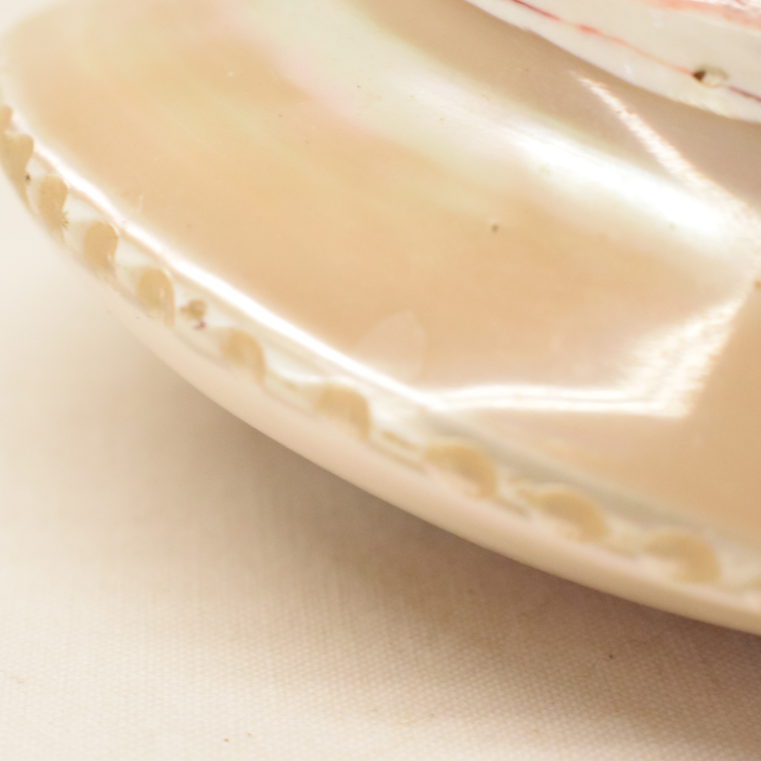 Objet décoratif coquillage sculpté souvenir de Tahiti État correct - Vue 4 - 