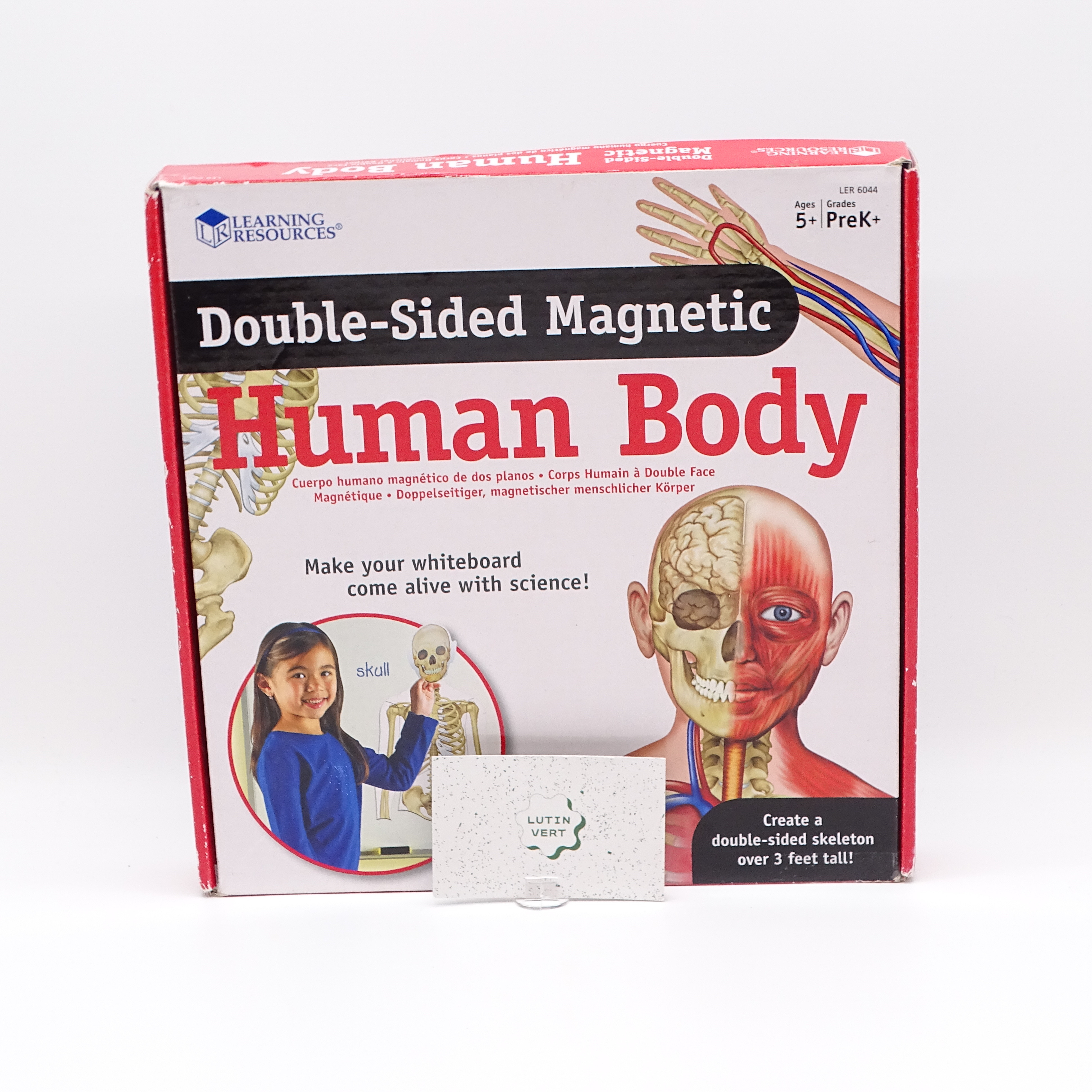 Acheter Human body magnetic d'occasion LEARNING RESOURCES - Dès 5 ans | Ref 13981 Très bon état - 18,00 € Human body magnetic d'occasion LEARNING RESOURCES - Dès 5 ans | Ref 13981 Très bon état - reconditionné disponible sur Label Emmaüs