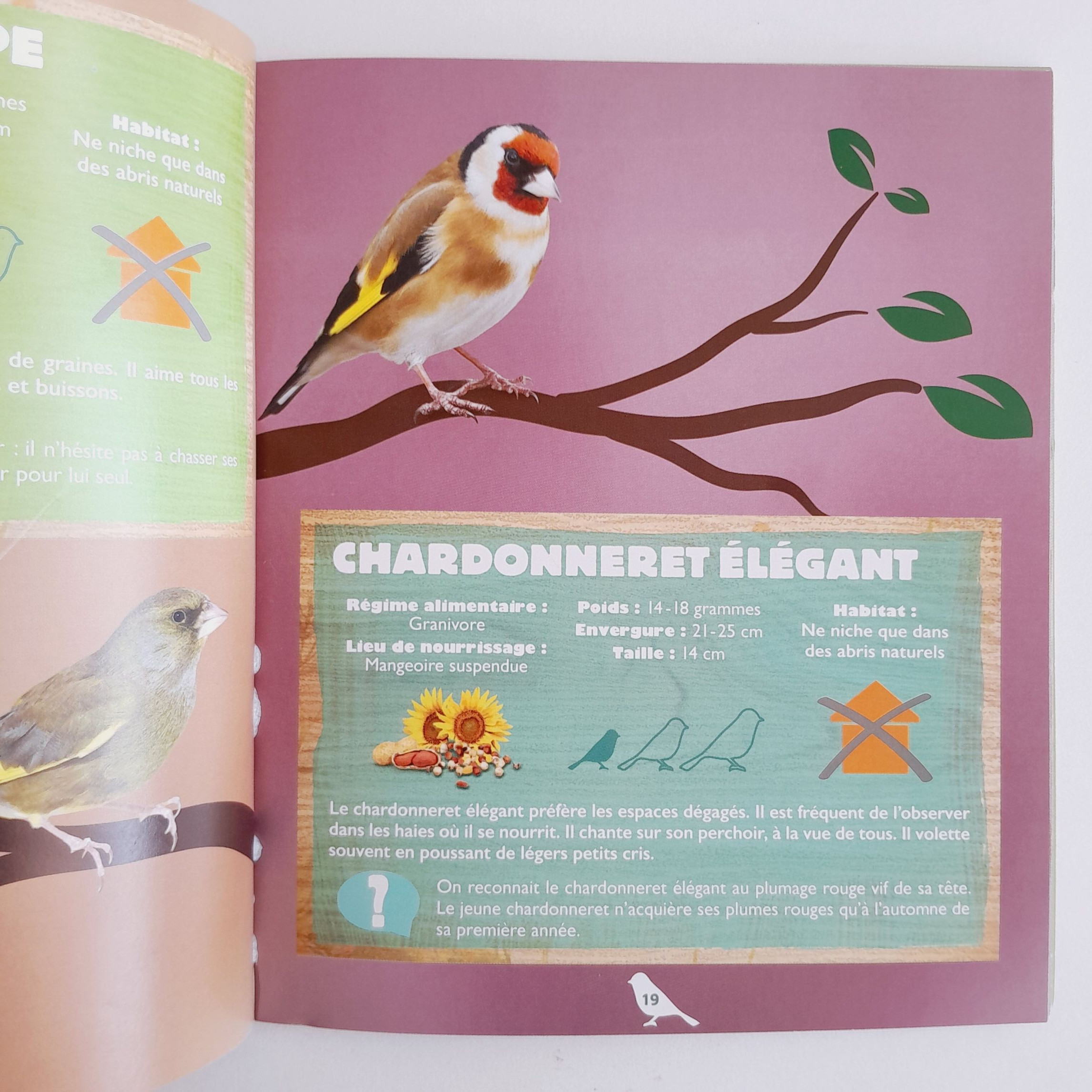 Invitez la biodiversité dans votre jardin - Photo 2