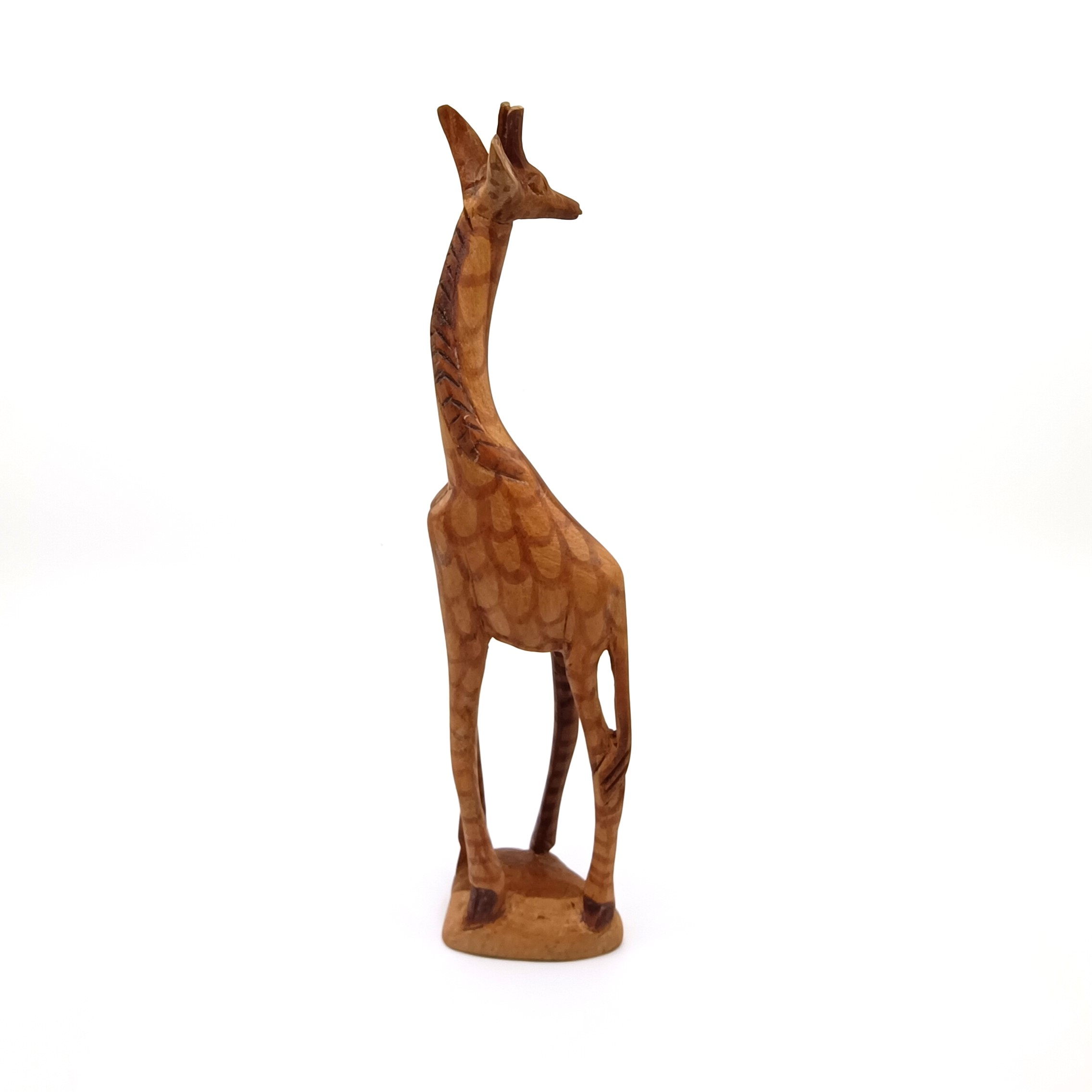 Girafe - Photo 1