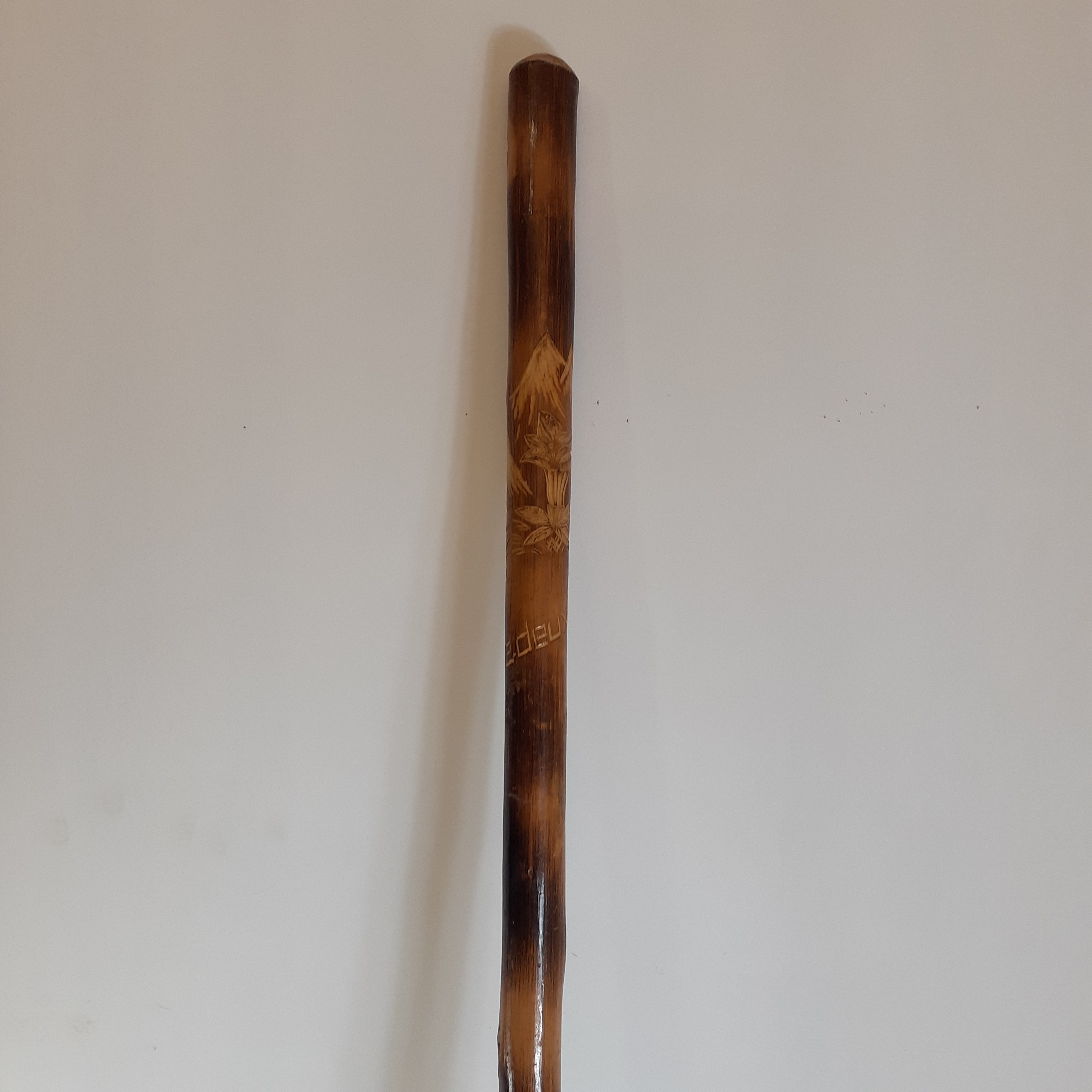 Canne de marche en bois sculpté - Photo 1