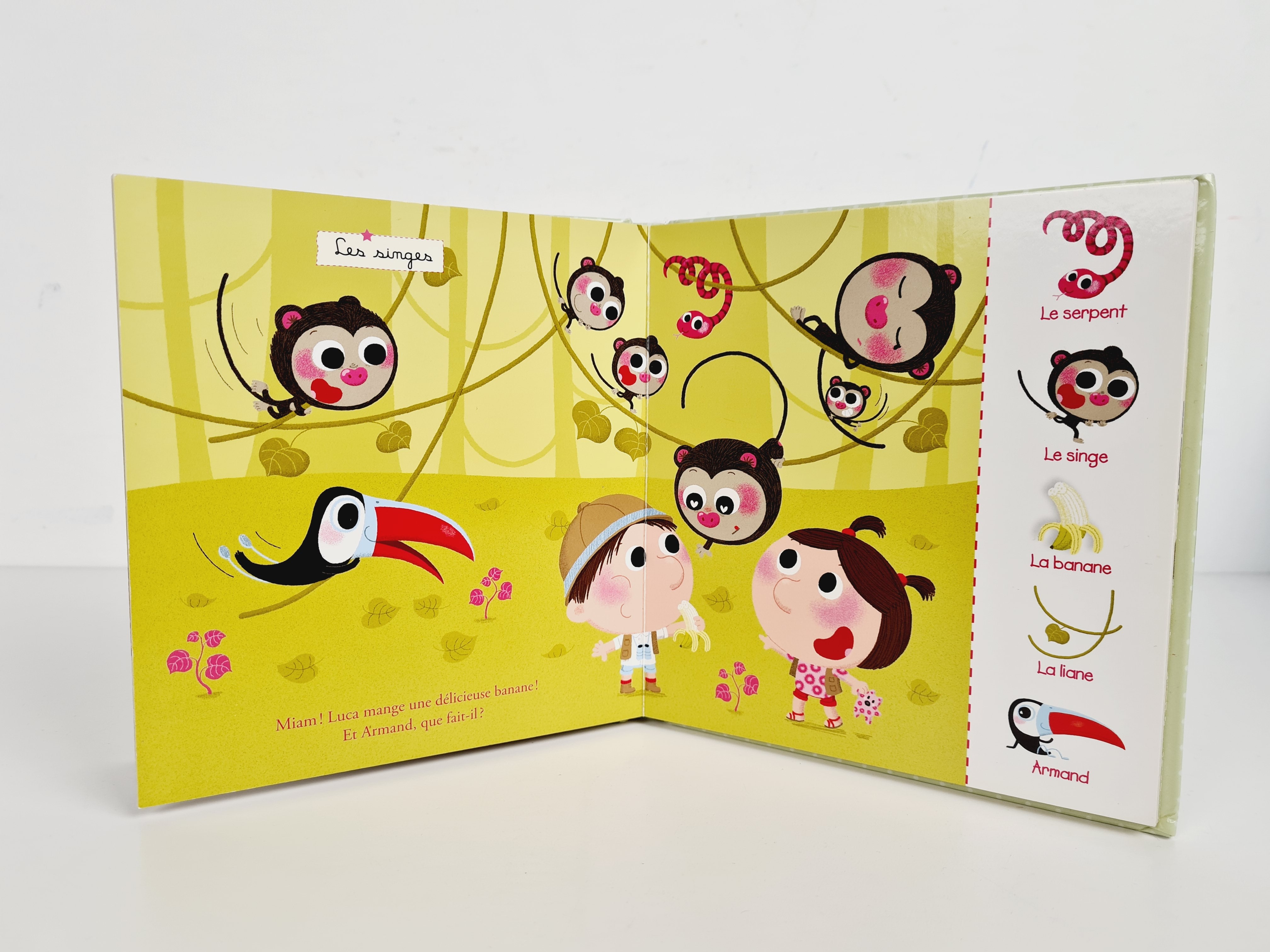 Livre jeunesse Pages rigides -Cherche et trouve pour les bébés - dans