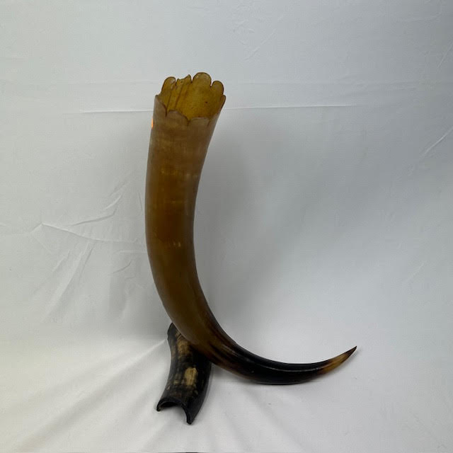 Corne de décoration - Photo 1