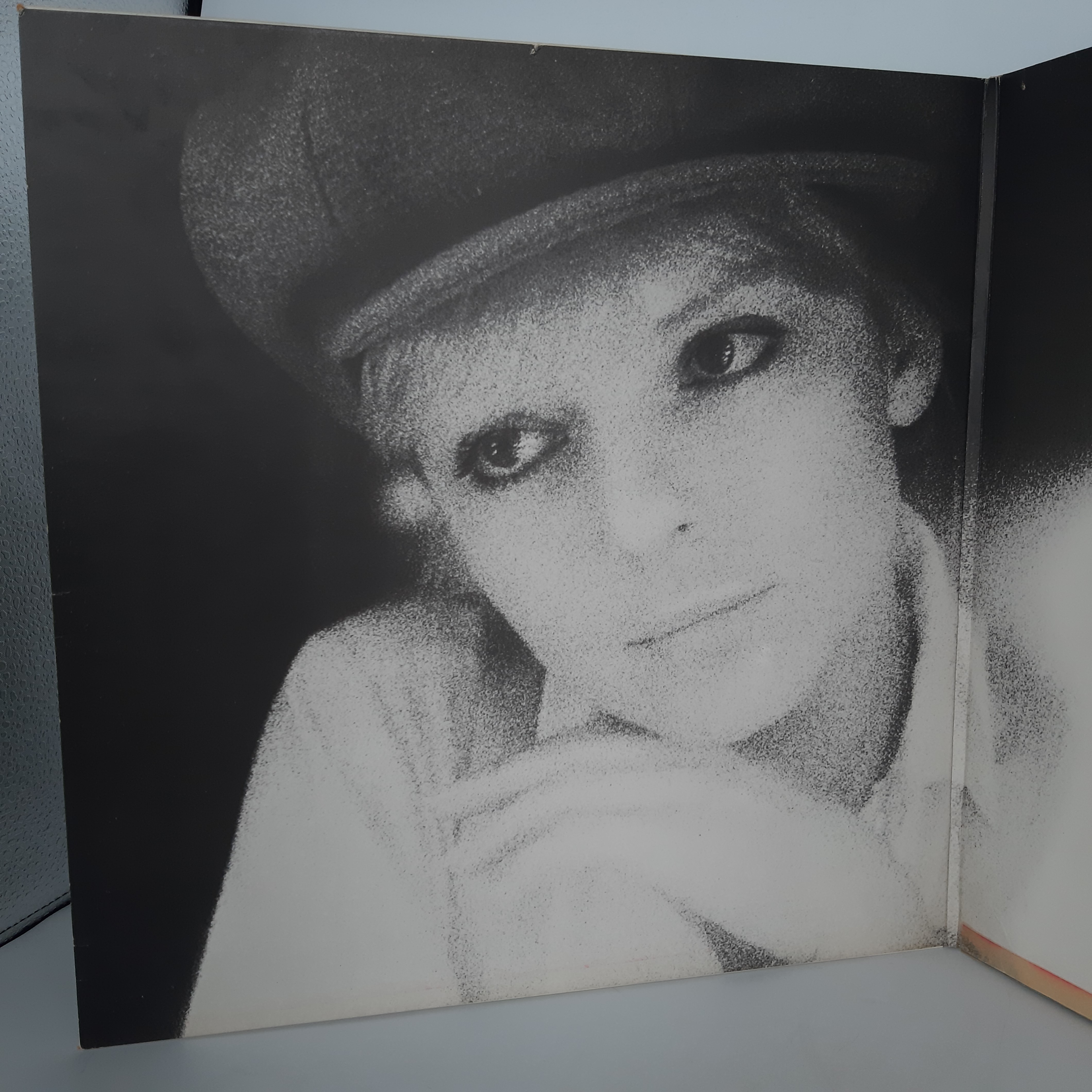 Voir photo 8 de Lot de 2 Albums vinyles France Gall Lot de 2 Albums vinyles France Gall Bon état - Vue 8 -