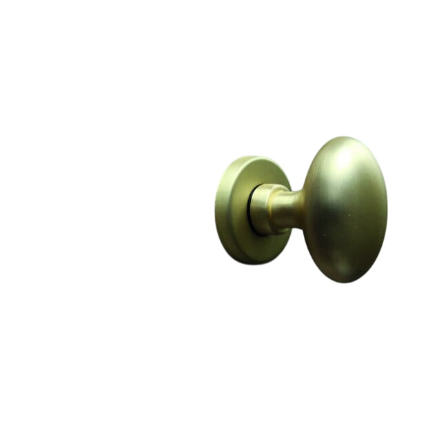 1 bouton sur rosace ovale LINEA BERTOMANI sans trou laiton brossé A3 - Photo 0