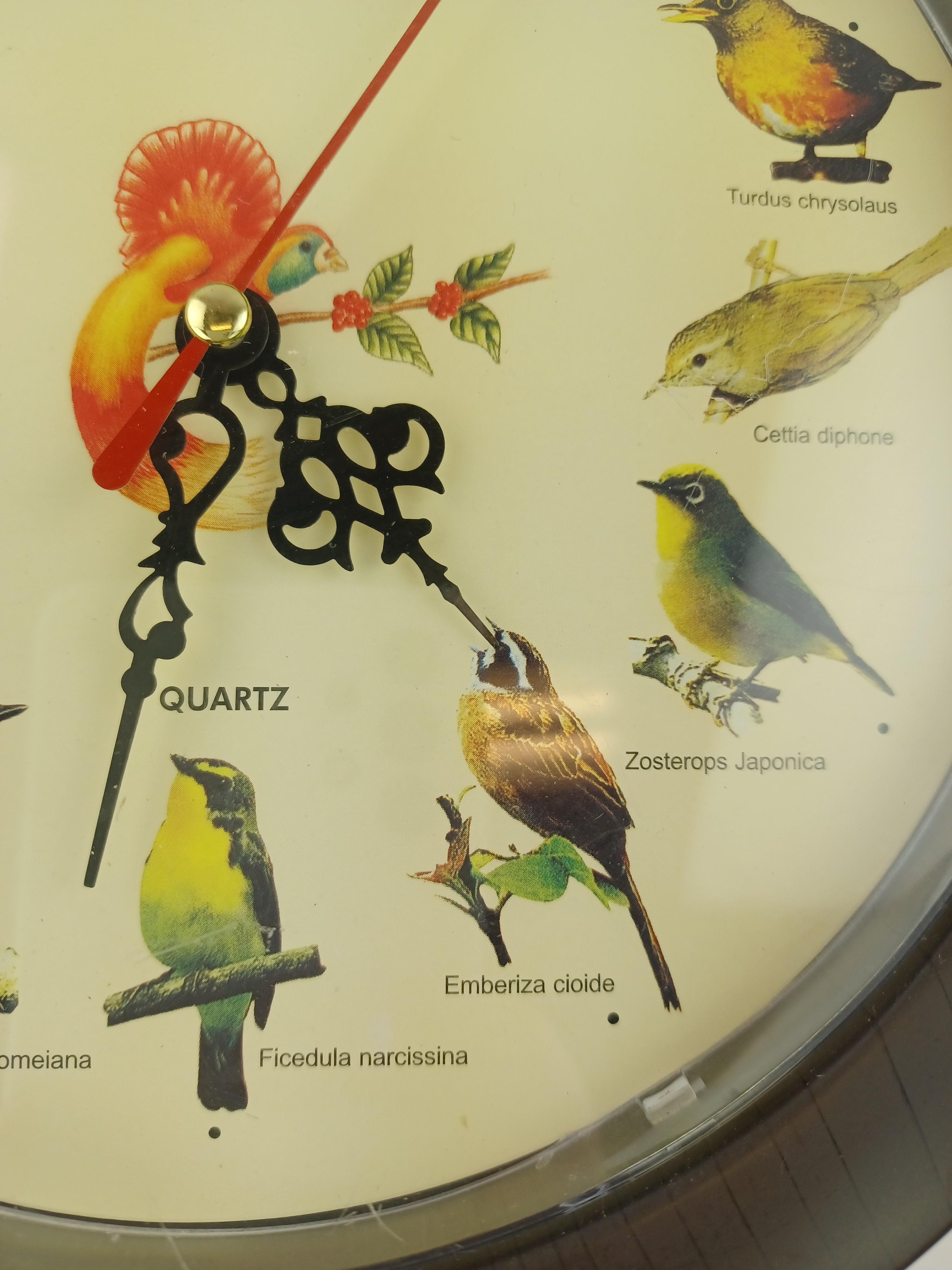 Voir photo 2 de Horloge murale de 21cm de diamètre Quartz avec des oiseaux Horloge murale de 21cm de diamètre Quartz avec des oiseaux Très bon état - Vue 2 -