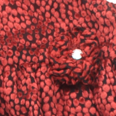 Robe bordeaux sans manches imprimée - bébé - Orchestra - taille 9 mois - Photo 3