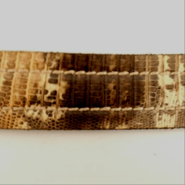 Voir photo 5 de Ceinture Fausto Colato Iguana 104 cm Ceinture Fausto Colato Iguana 104 cm - Vue 5 -