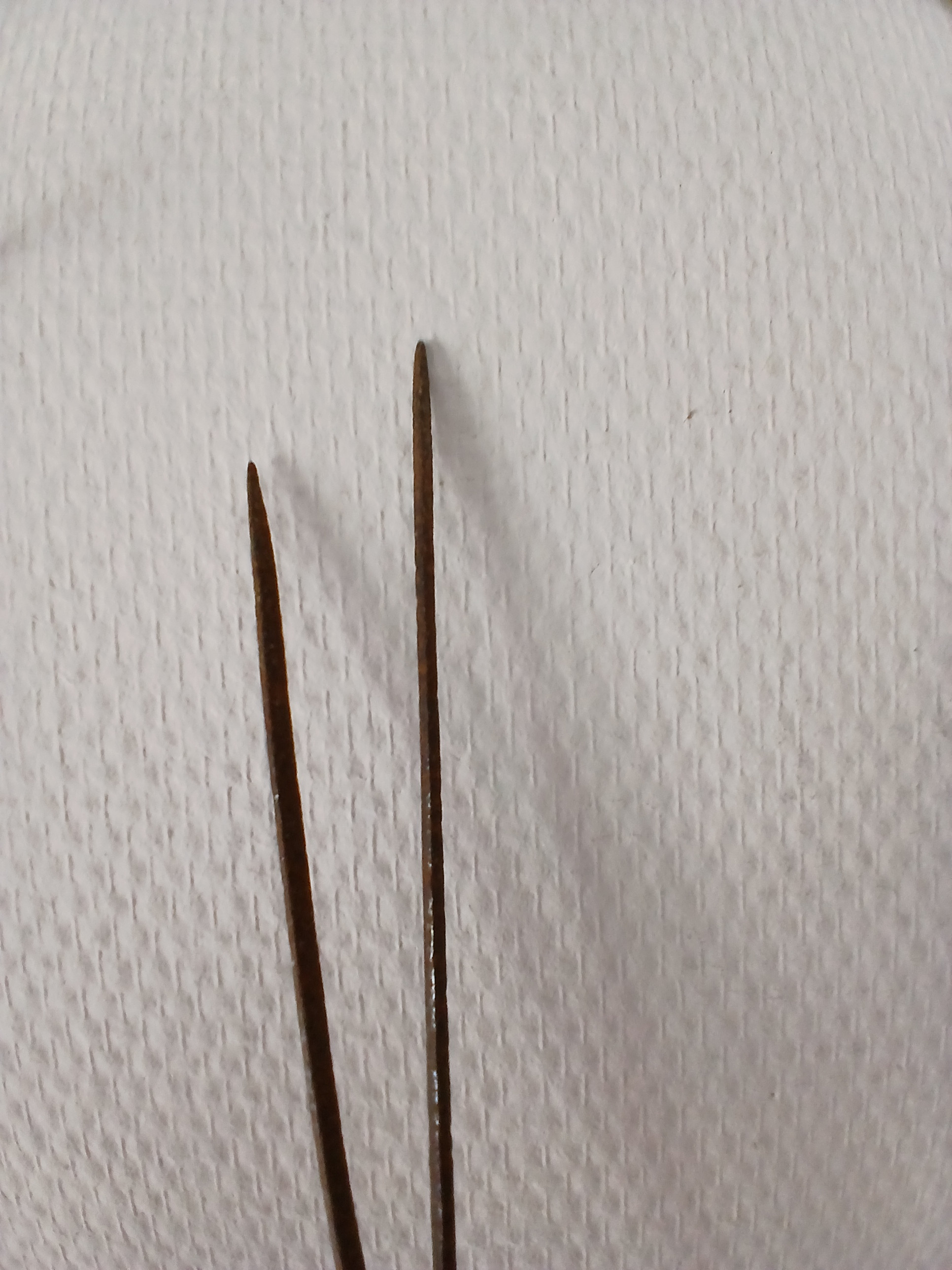 Lot de 2 anciens fleurets de duel non mouchetés. État correct - Vue 8 - 