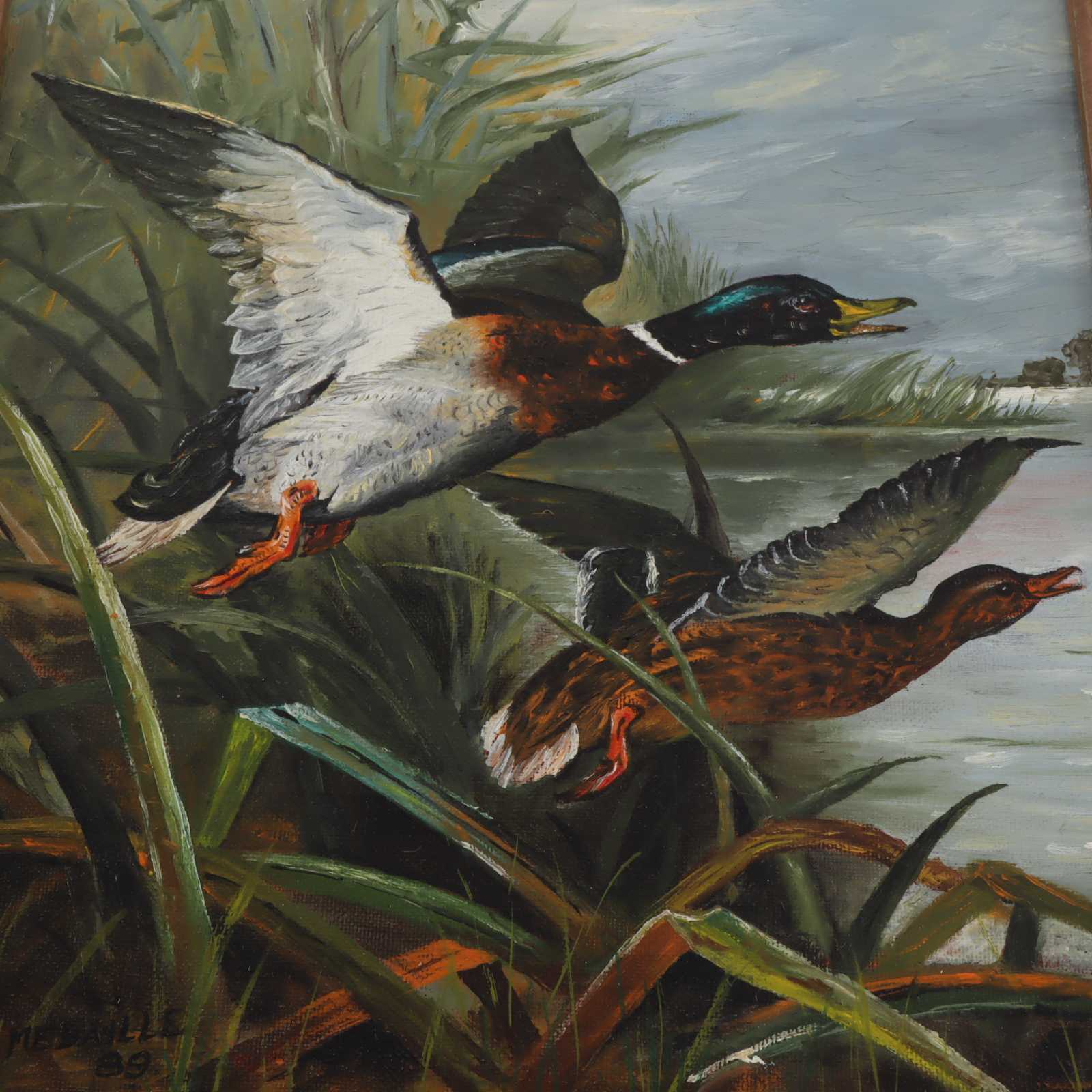Tableau Envol de canards - Photo 1