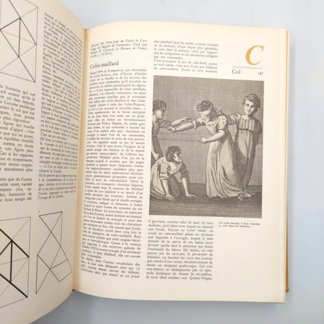 Dictionnaire des Jeux. Collectif sous la direction de René Alleau. Editions Henri Veyrier. Non daté (estimé 1970?) - Photo 1