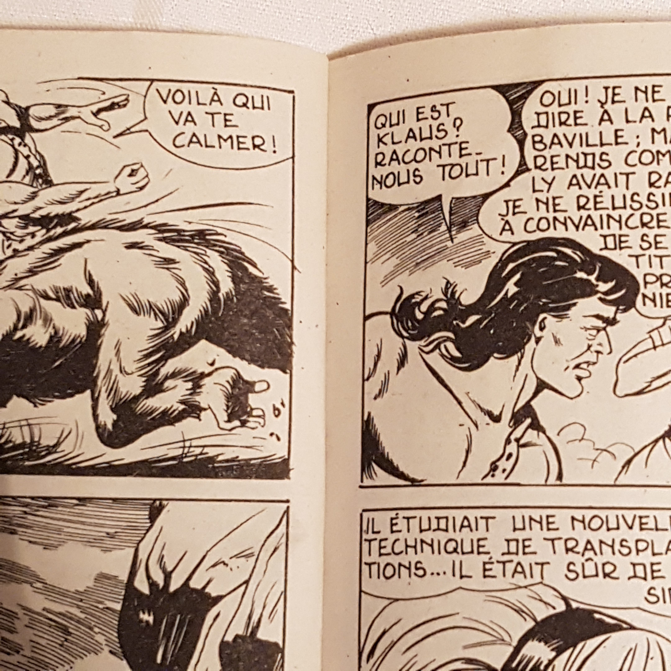 Bd petit format de poche ZEMBLA 