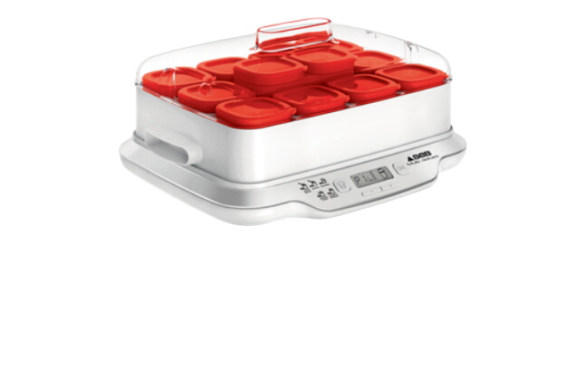 Yaourtière et fromagère SEB YG661500R MULTIDELICES Express 12 pots - Photo 0