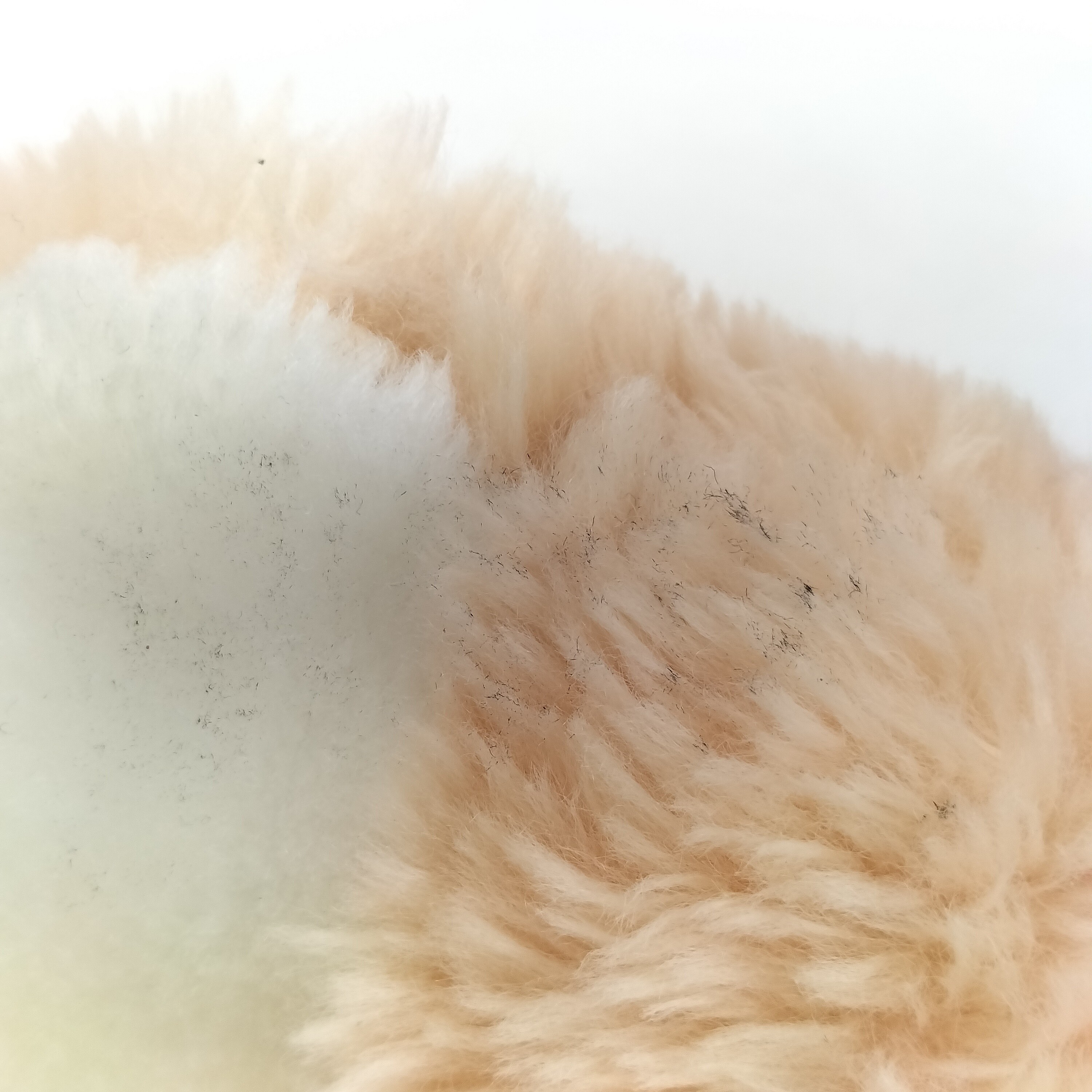 Sac à dos Bisounours-Gros Bisous - Bon état - Photo 10