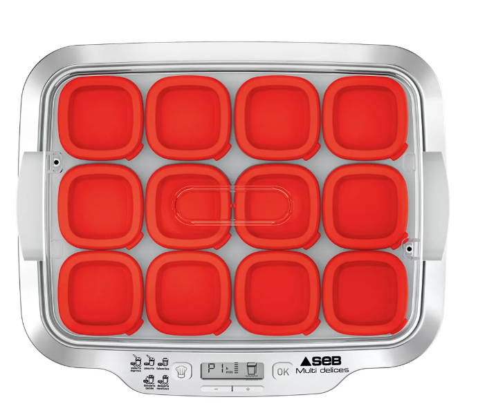 Yaourtière et fromagère SEB YG661500R MULTIDELICES Express 12 pots - Photo 1