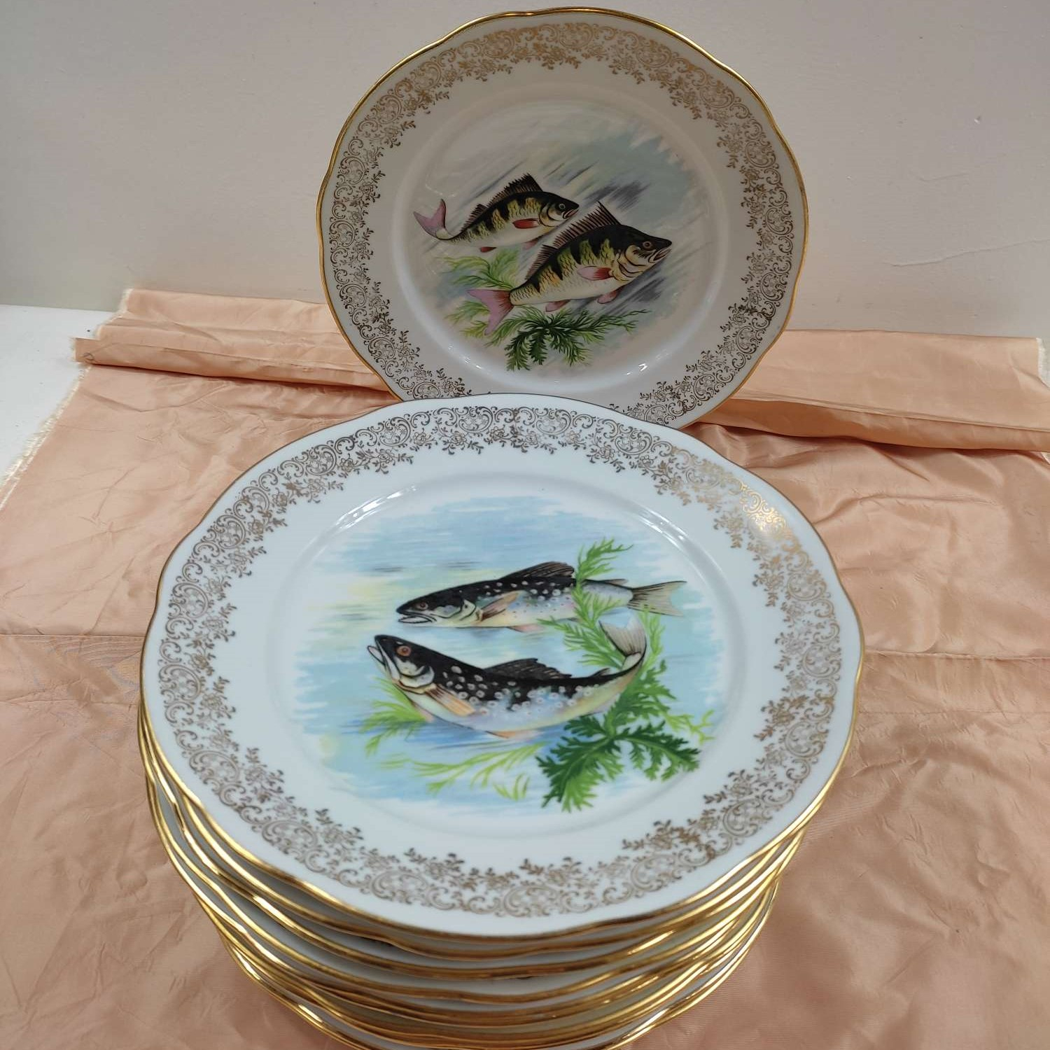 Lot de 10 assiettes plates en véritable porcelaine Bon état - alternatives disponibles sur Dero Lot de 10 assiettes plates en véritable porcelaine Bon état - reconditionné (offre indisponible)