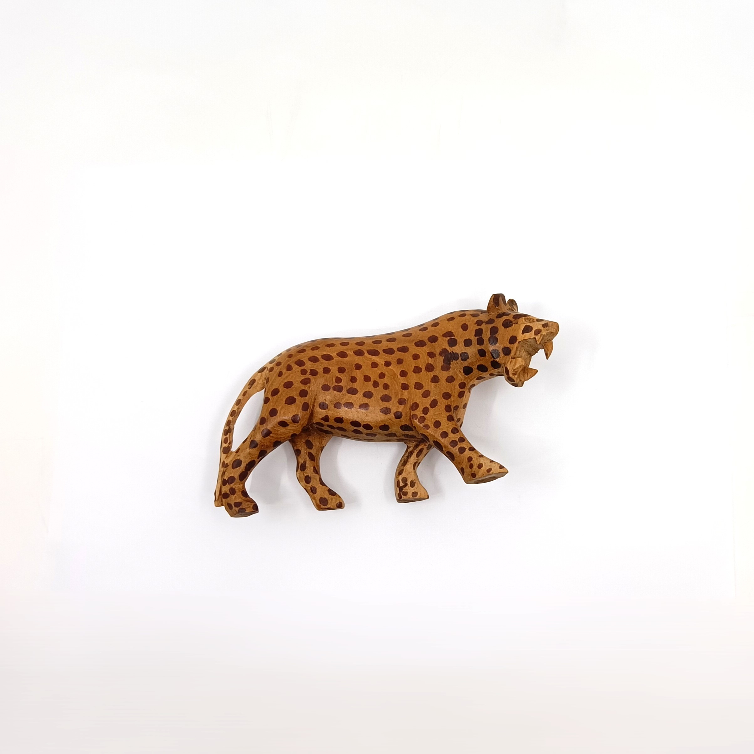 Guépard - Photo 3