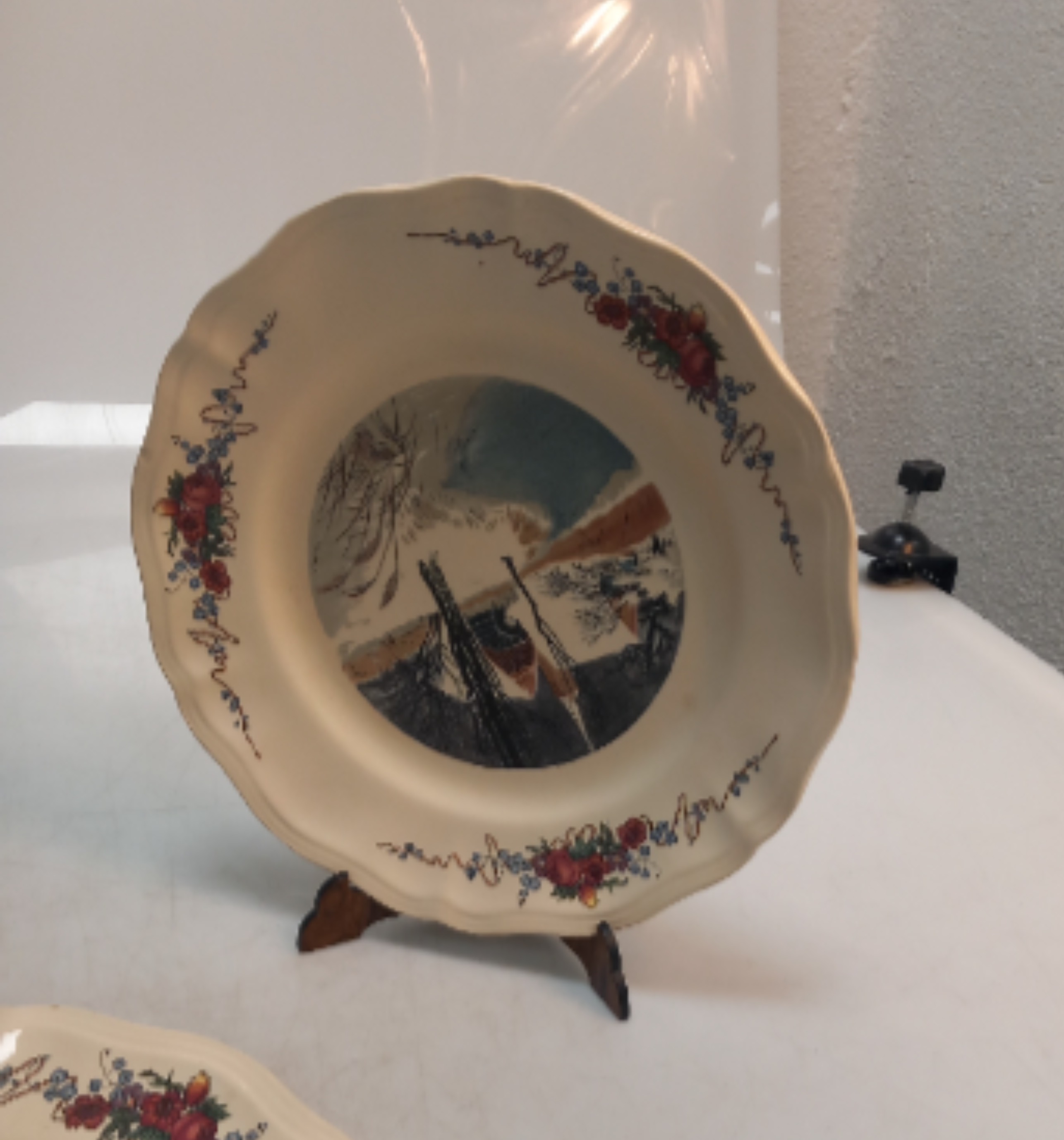 Lot de 7 assiettes plates décor champêtre 