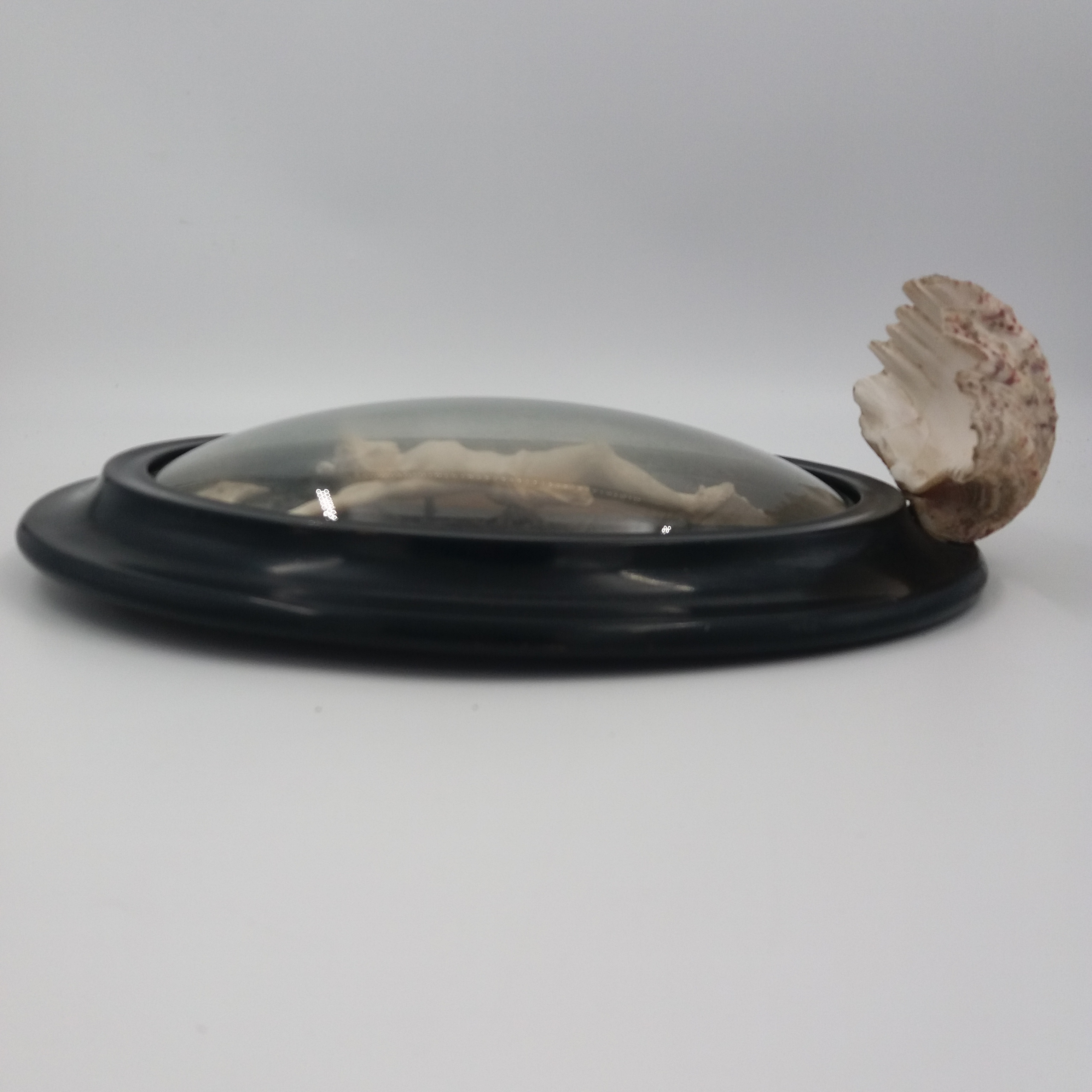 Jésus En Cire Pour Crèche De Noël - 21 Cm - Yeux Sulfure Bleus - Époque Napoléon III