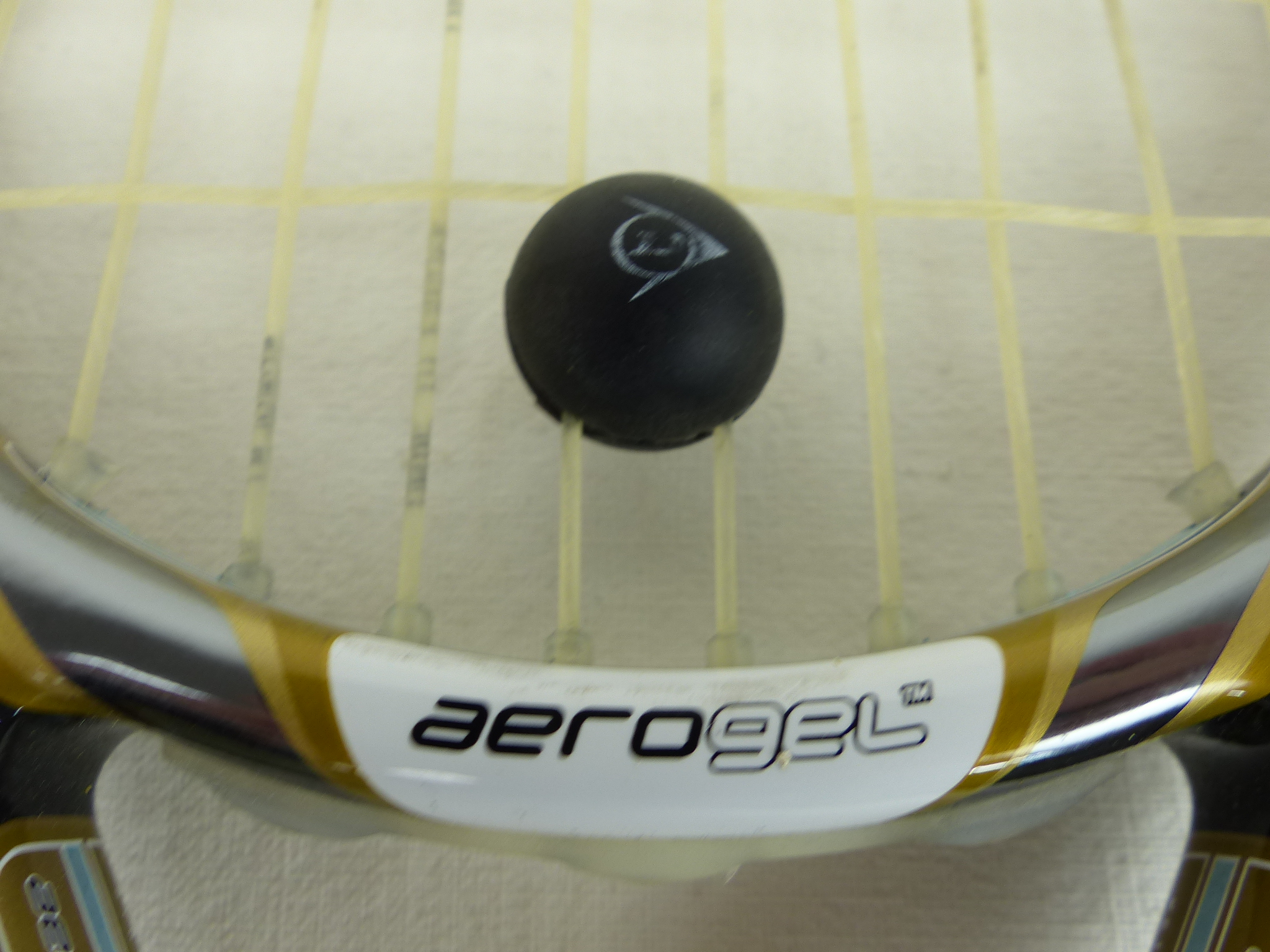 Raquette de squash Dunlop fx team130 bleu