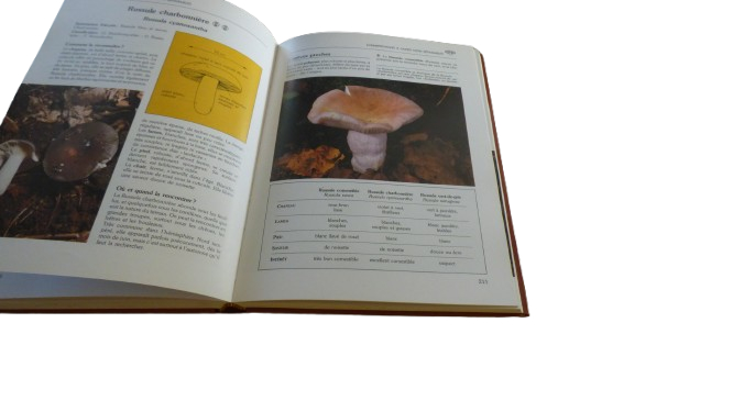 Le livre des champignons - 1988 - Photo 6