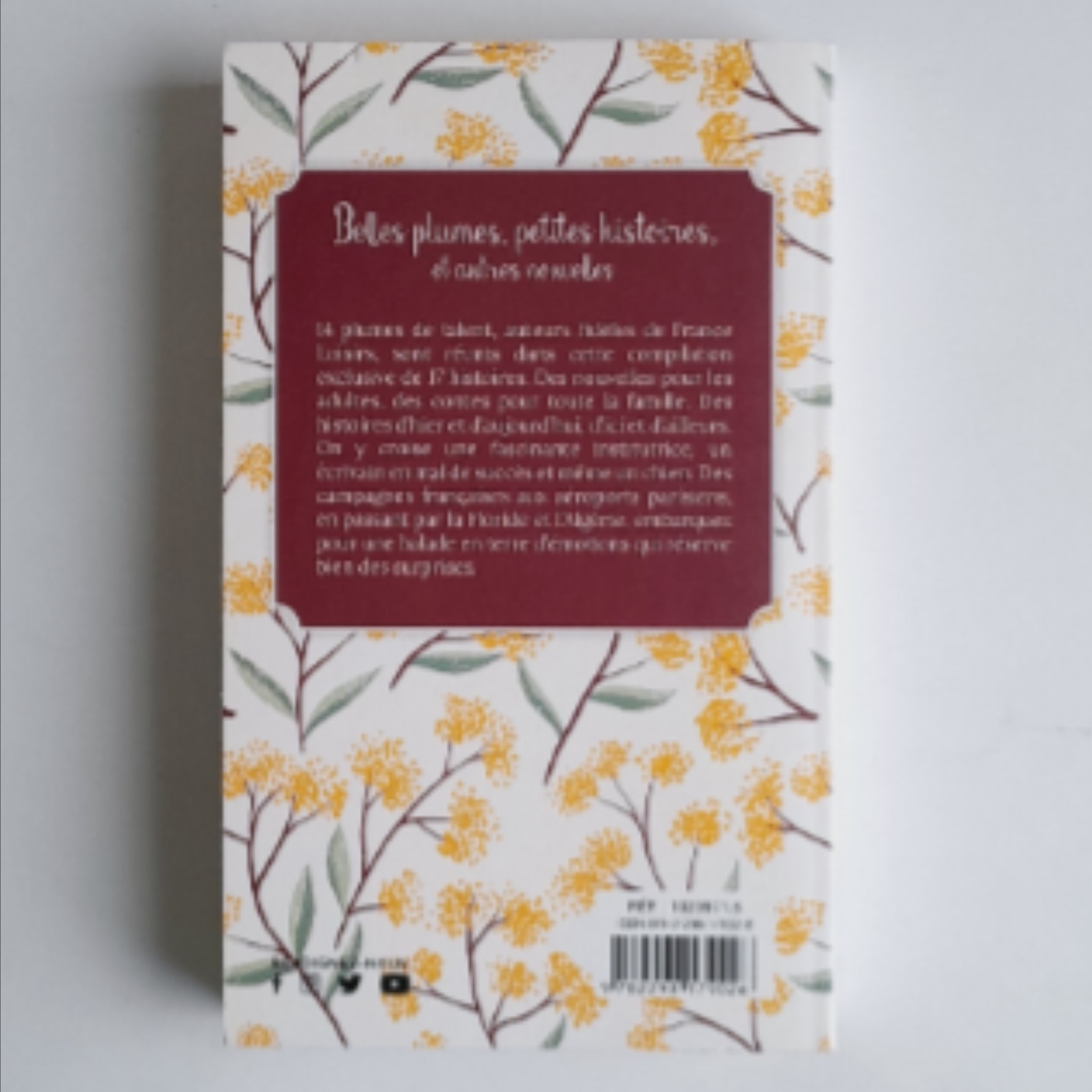 Belles plumes, petites histoires et autres nouvelles - Collectif - Photo 1
