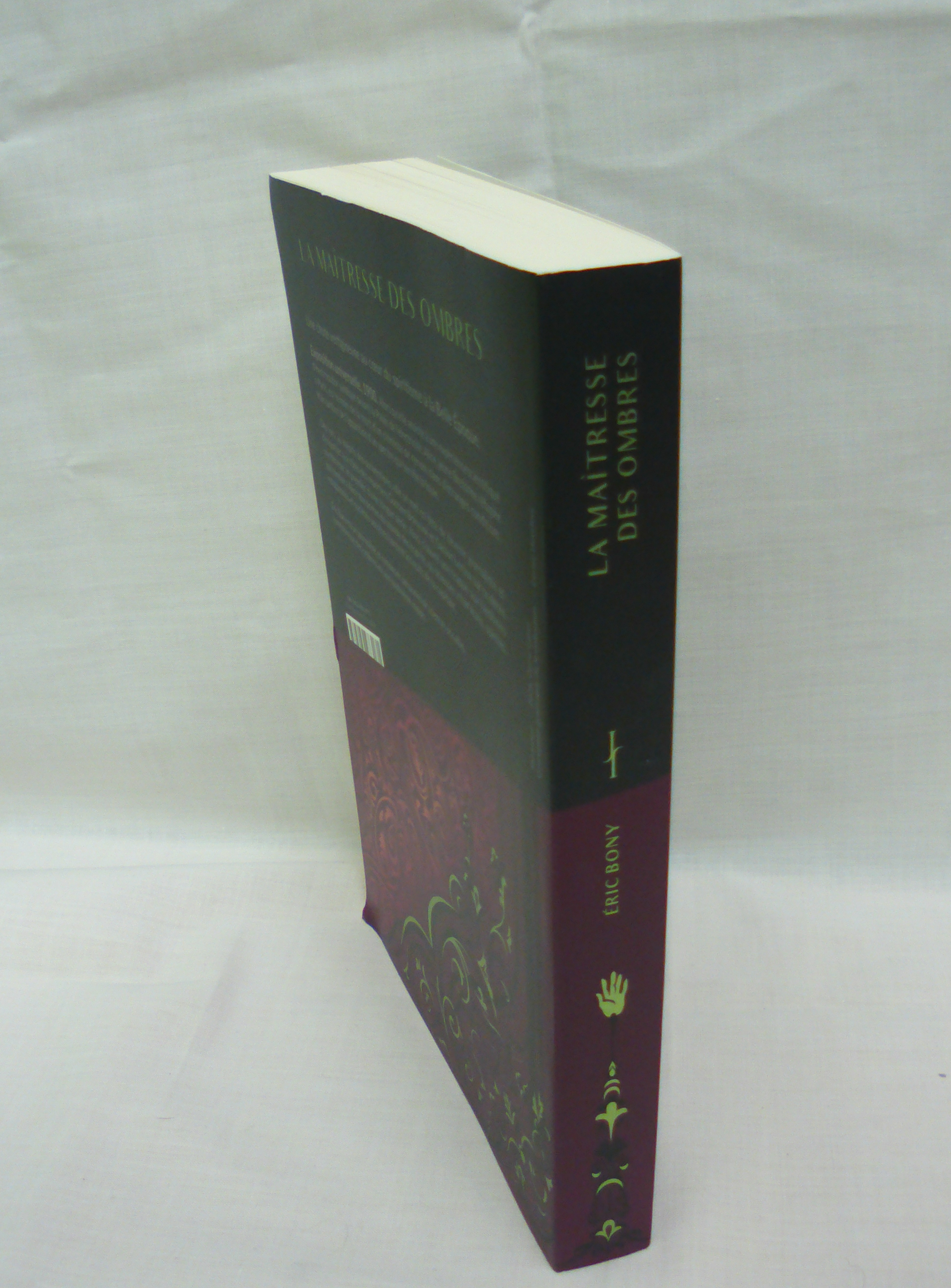 Livre La maîtresse des ombres de Eric BONY, Broché, 2024 - Photo 1