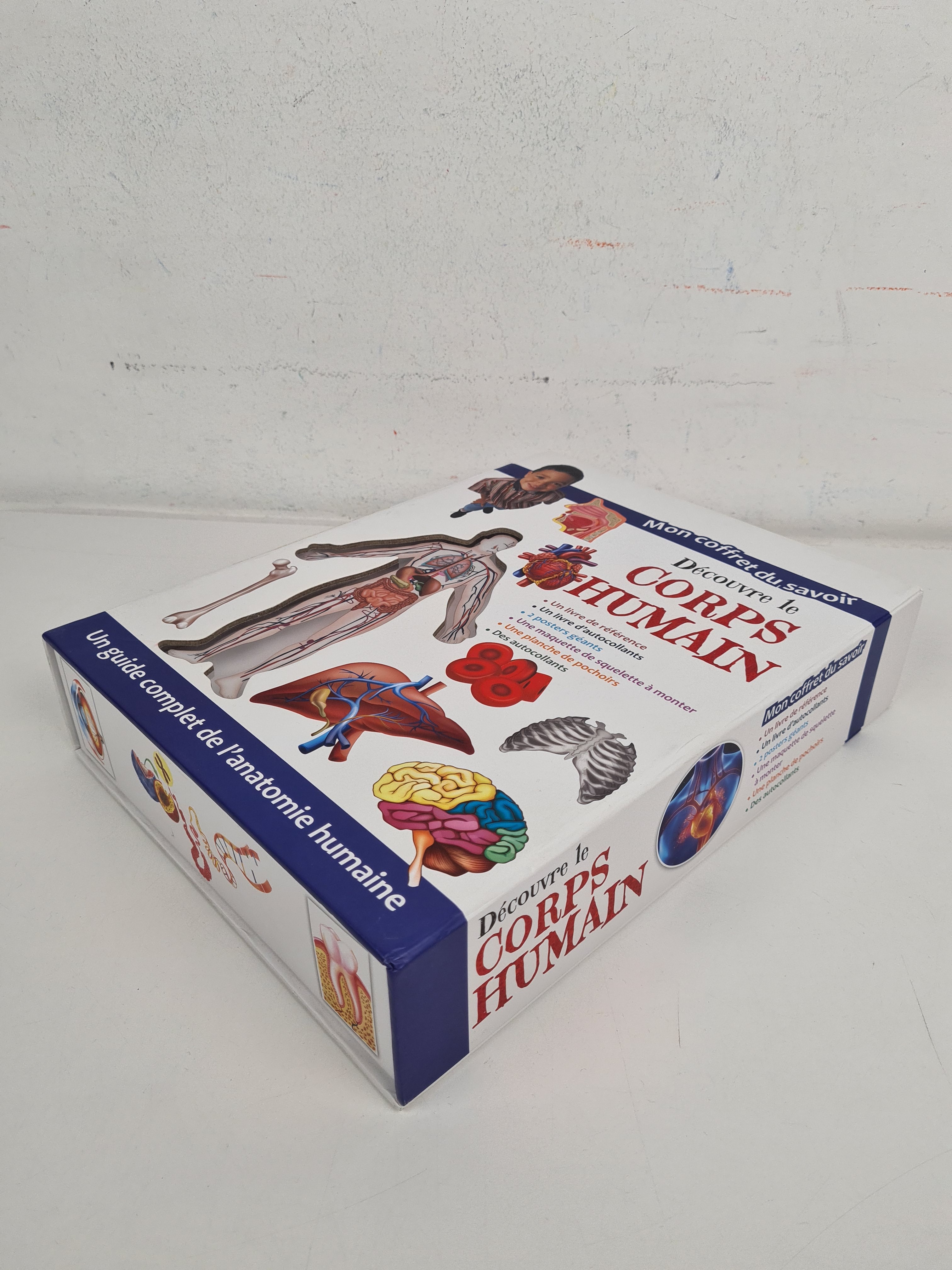 Voir photo 2 de Mon coffret du savoir - Découvre le corps humain - Guide complet de l'anatomie humaine - 6 ans + Mon coffret du savoir - Découvre le corps humain - Guide complet de l'anatomie humaine - 6 ans + Bon état - Vue 2 -