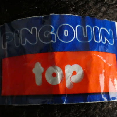 Lot de 2 pelotes marron - PINGOUIN TOP - 50g par pelote - Photo 3