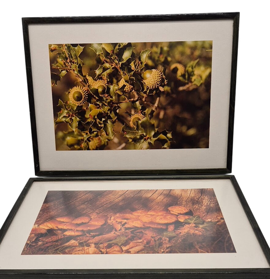 Lot de 2 cadre photo / 39.5 L x 29.5 l cm . - Très bon état sur Label Emmaüs