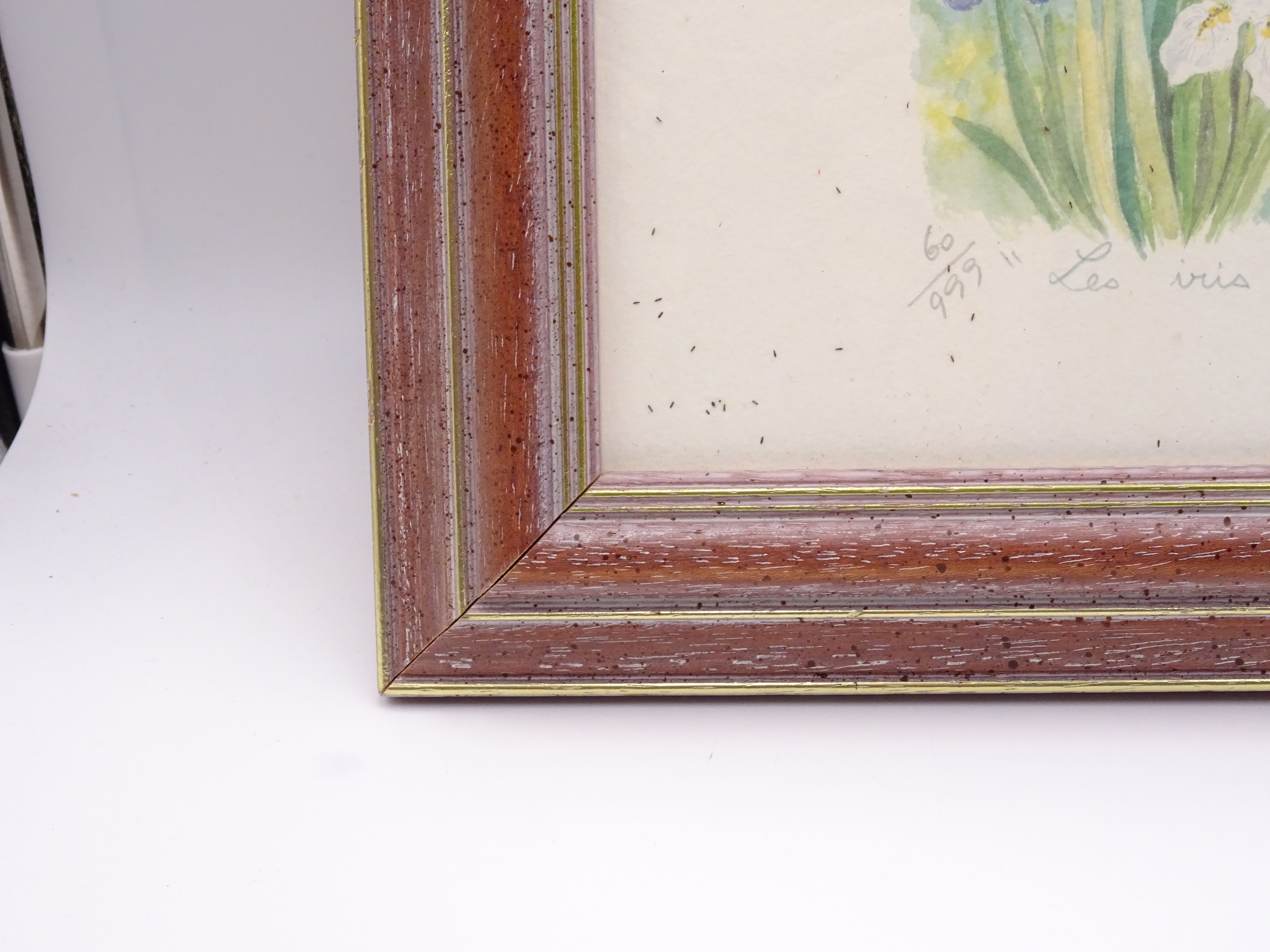 Impression sur papier "Les Iris" signée Danielle Lebeau - Bon état - Photo 4