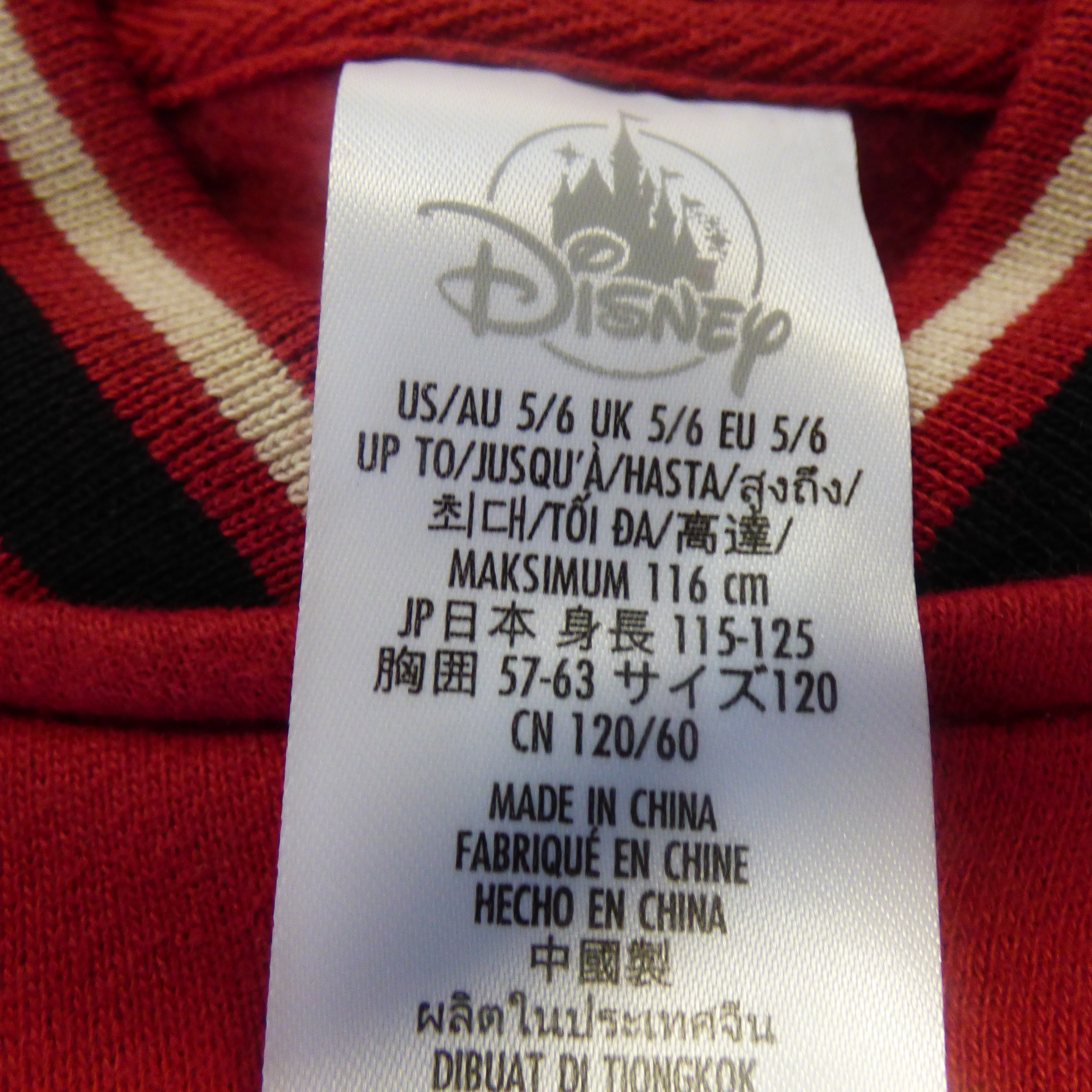 VESTE "LA TANIERE DU DRAGON" DISNEY TAILLE 5/6 ANS NEUVE  - Vue 4 - 
