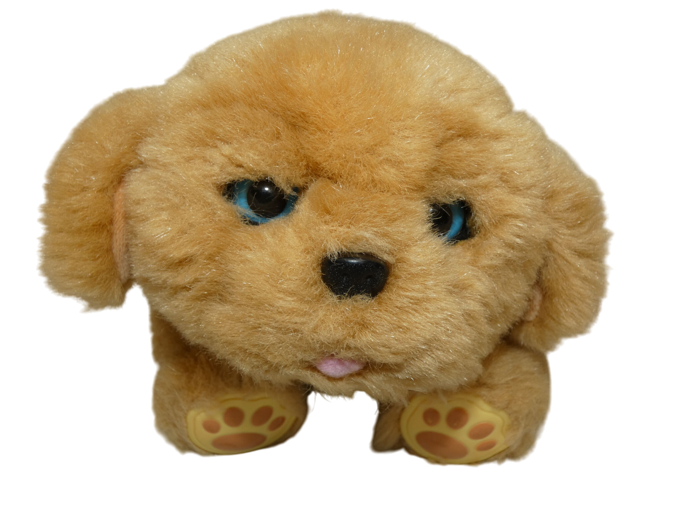 Acheter Little Live Pet le toutou plus vrai que nature Très bon état - 15,00 € Little Live Pet le toutou plus vrai que nature Très bon état - reconditionné disponible sur Label Emmaüs