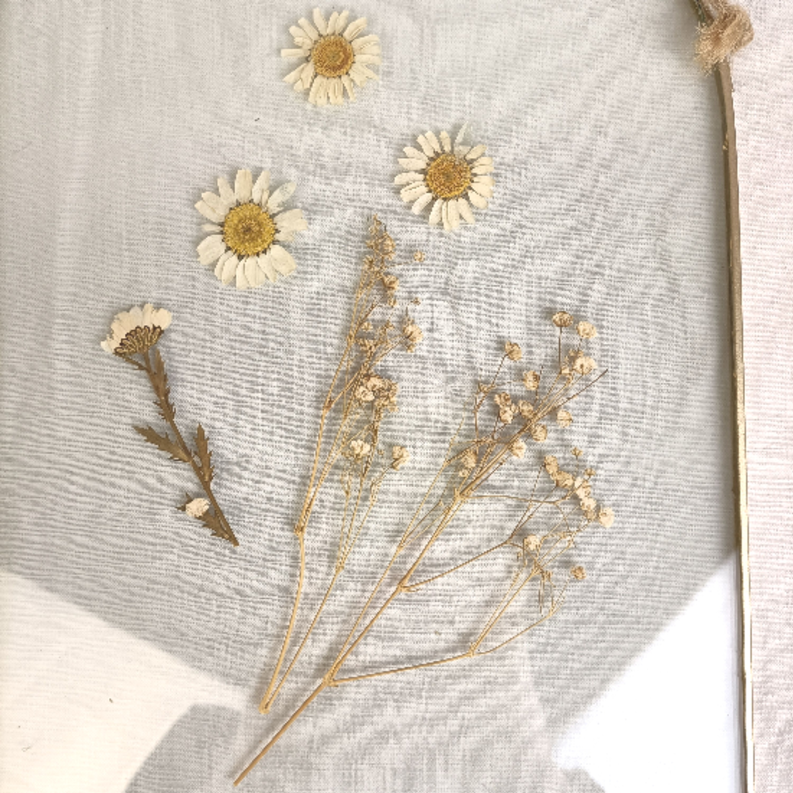 Cadre Photo Double Face Laiton - 15x20 Cm - Pour Fleurs Séchées, Photos, Affiches - Verre Transparent - 2