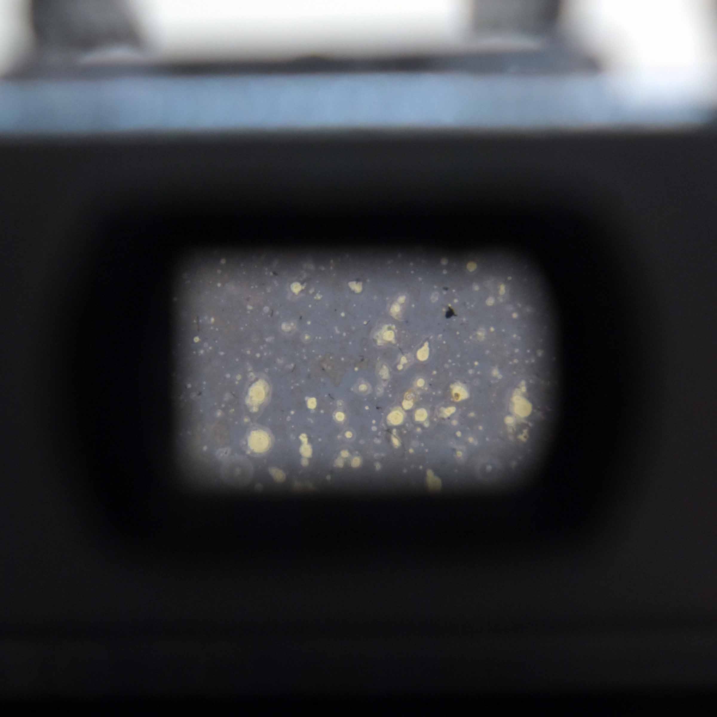 Royer® Savoy III F (Flash) - Appareil photo Argentique 24x36 - Bon état - Photo 14