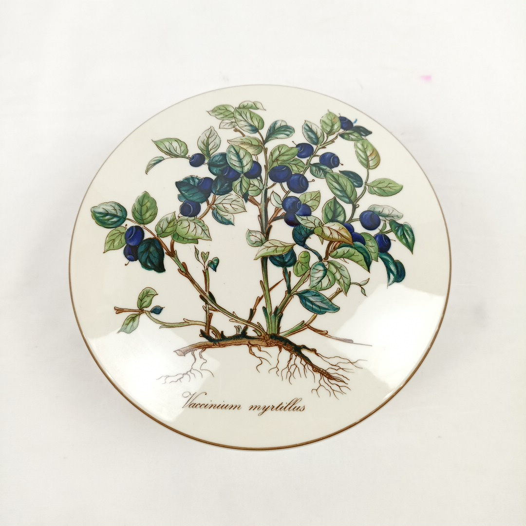 Bonbonnière Botanica 