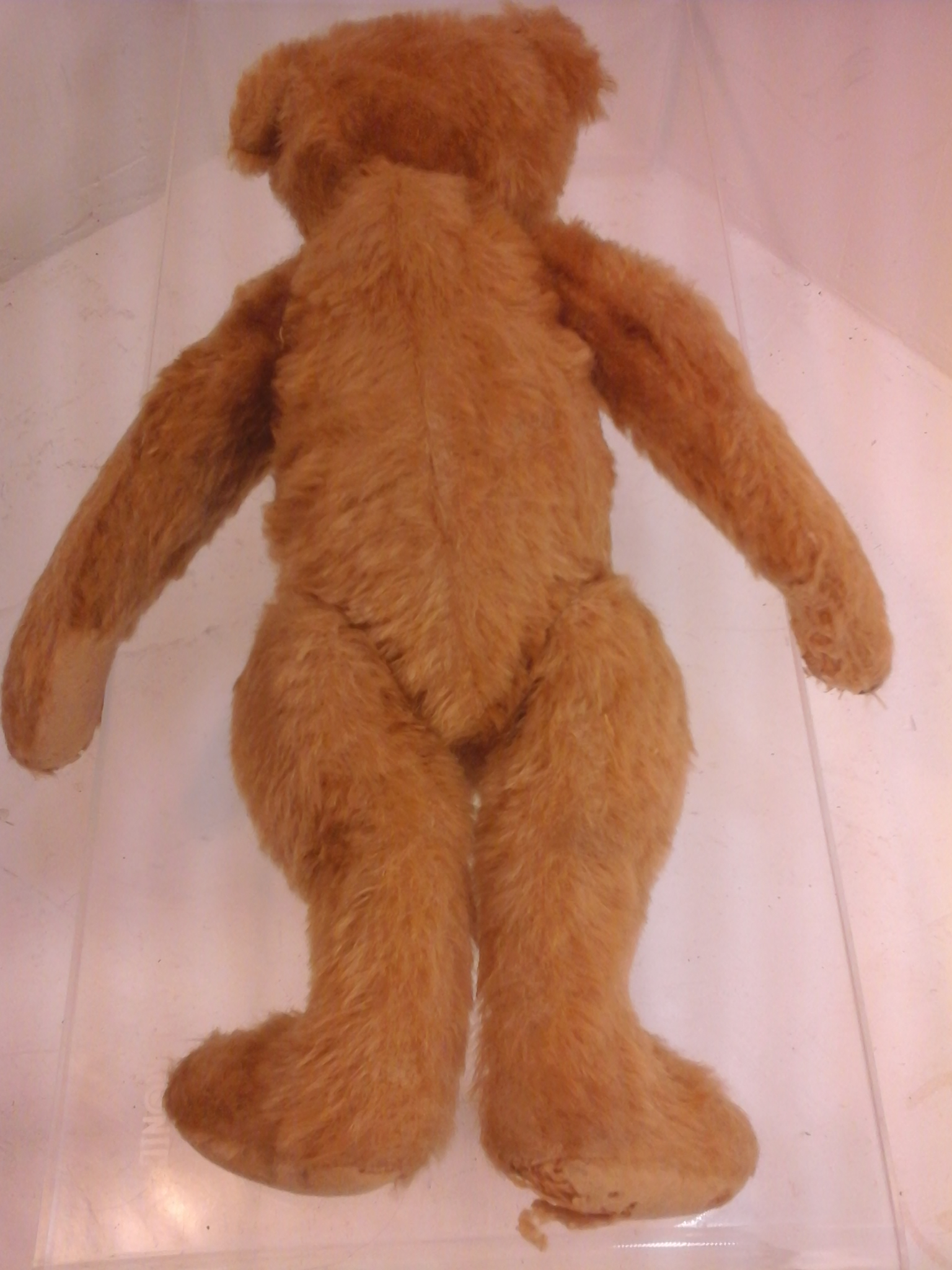 Ancien ours en peluche vintage articulé à restaurer,style année s 50-60,collection. État correct - Vue 13 - 