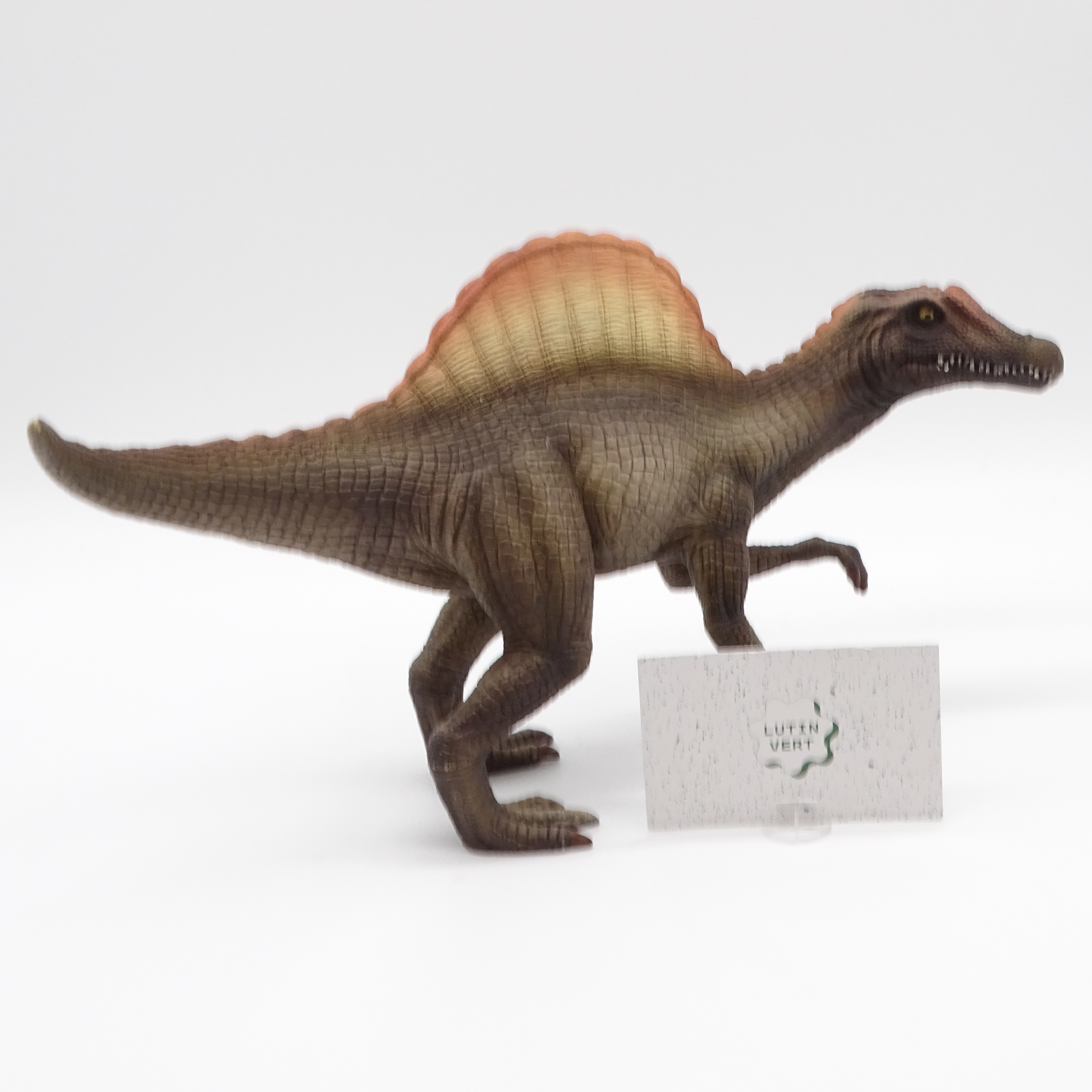 Voir photo 3 de Spinosorus d'occasion SCHLEICH - Dès 6 ans | Ref 13965 Spinosorus d'occasion SCHLEICH - Dès 6 ans | Ref 13965 Très bon état - Vue 3 -