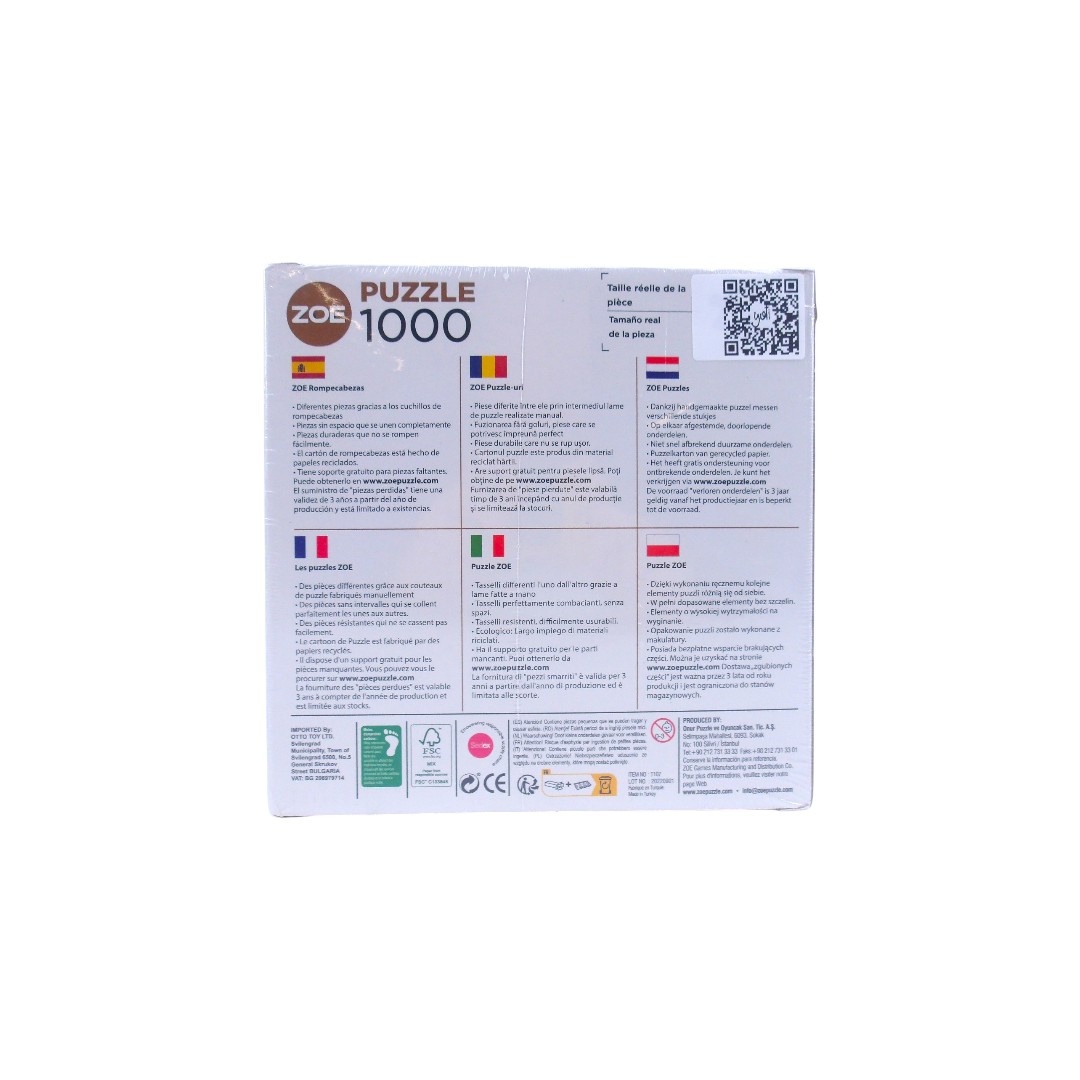 Les puzzles de Zoé - Kandisky - 1000 pièces Comme neuf - Vue 2 - 
