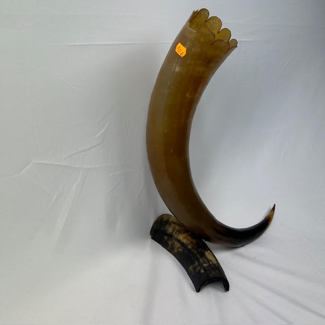 Corne de décoration - Photo 2
