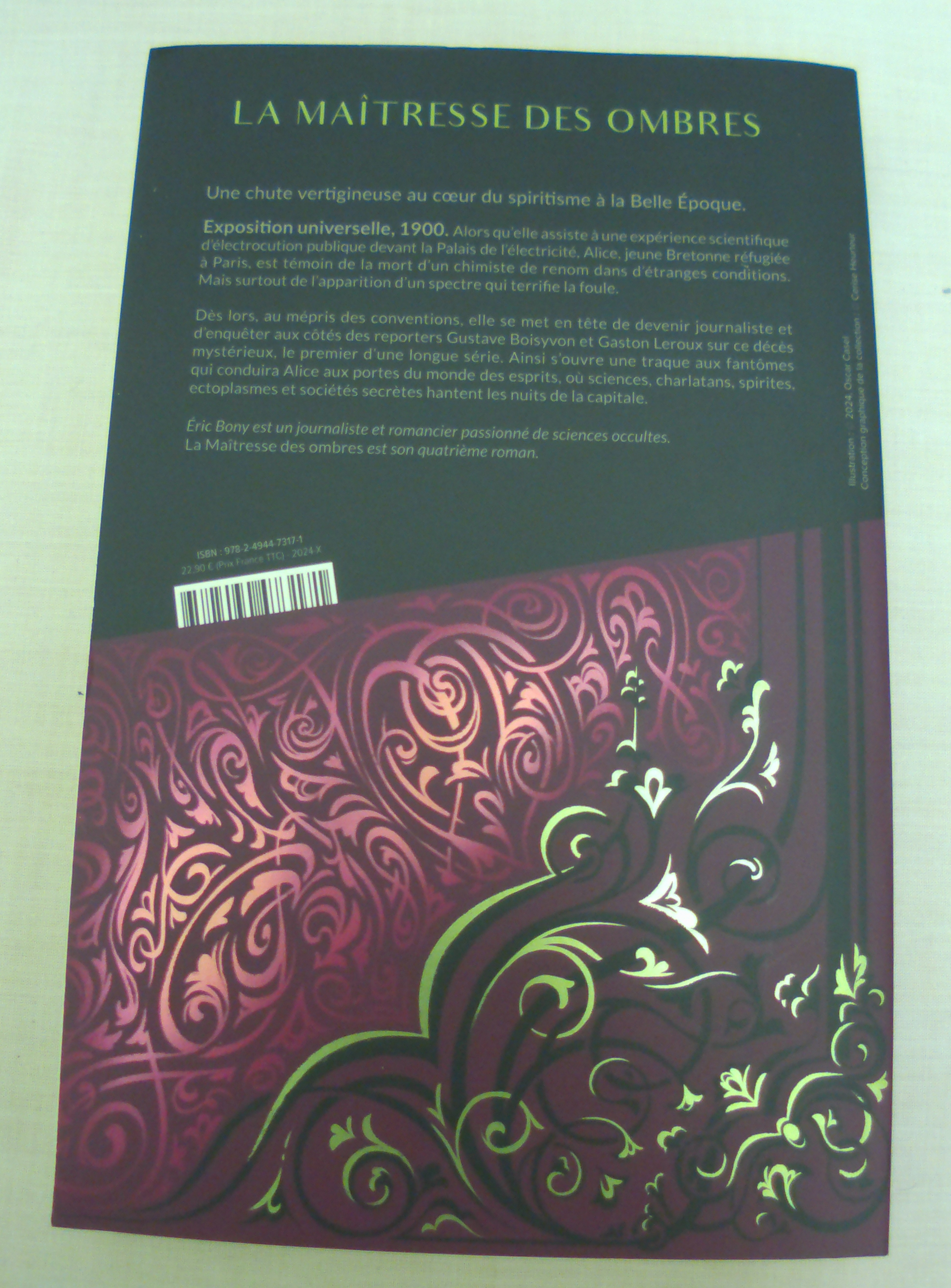 Livre La maîtresse des ombres de Eric BONY, Broché, 2024 - Photo 2